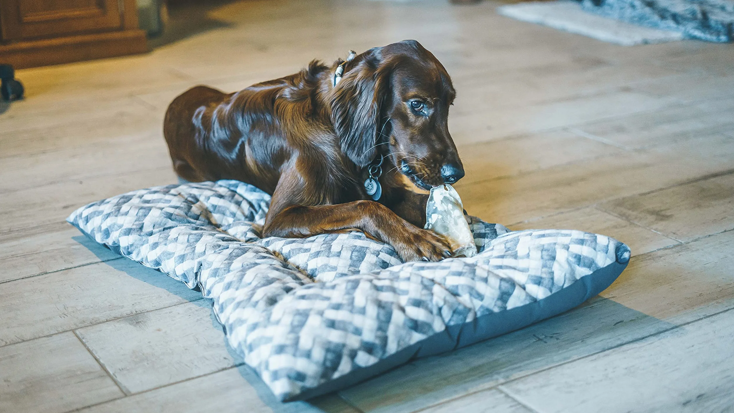 Aimé Friandises pour Chien Oreilles de Porc Naturelles sans Conservateur ni Colorant X2