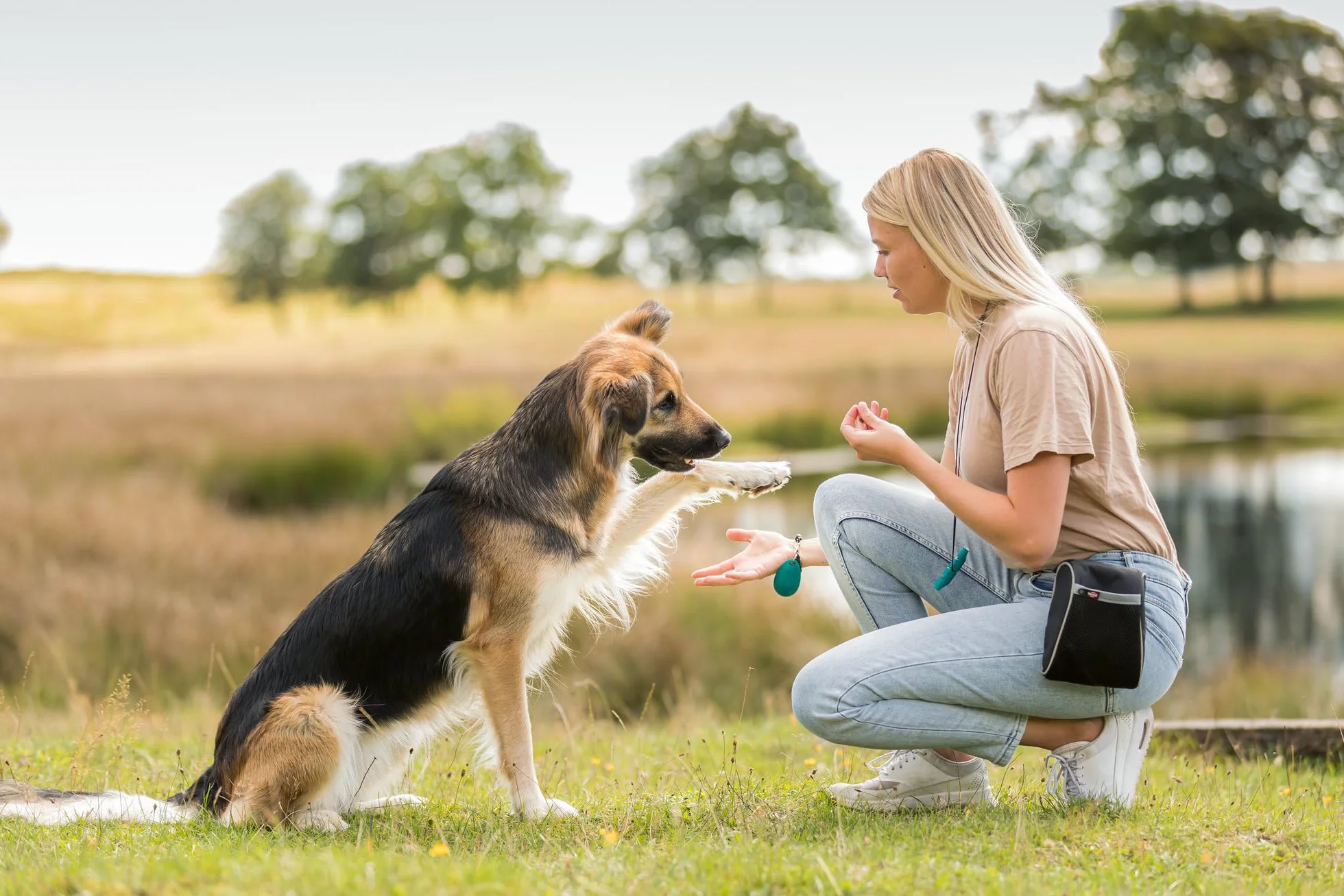 TRIXIE PREMIO bouchées de canard friandises pour chien 80 g