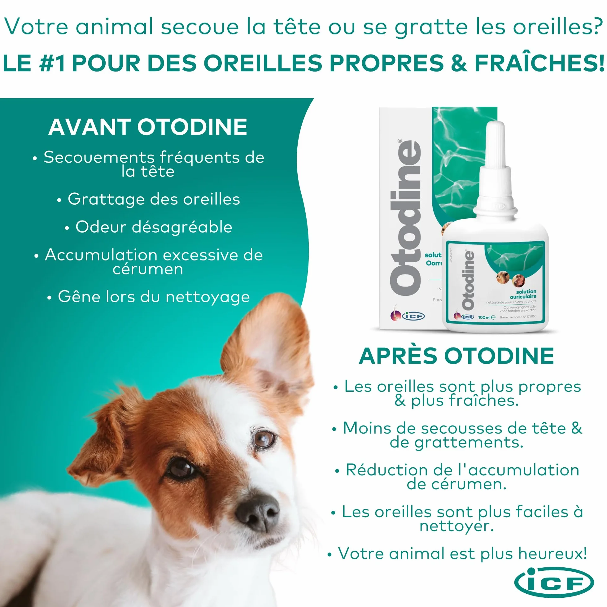 ICF Otodine Nettoyant Oreille Chien Chat 100ml