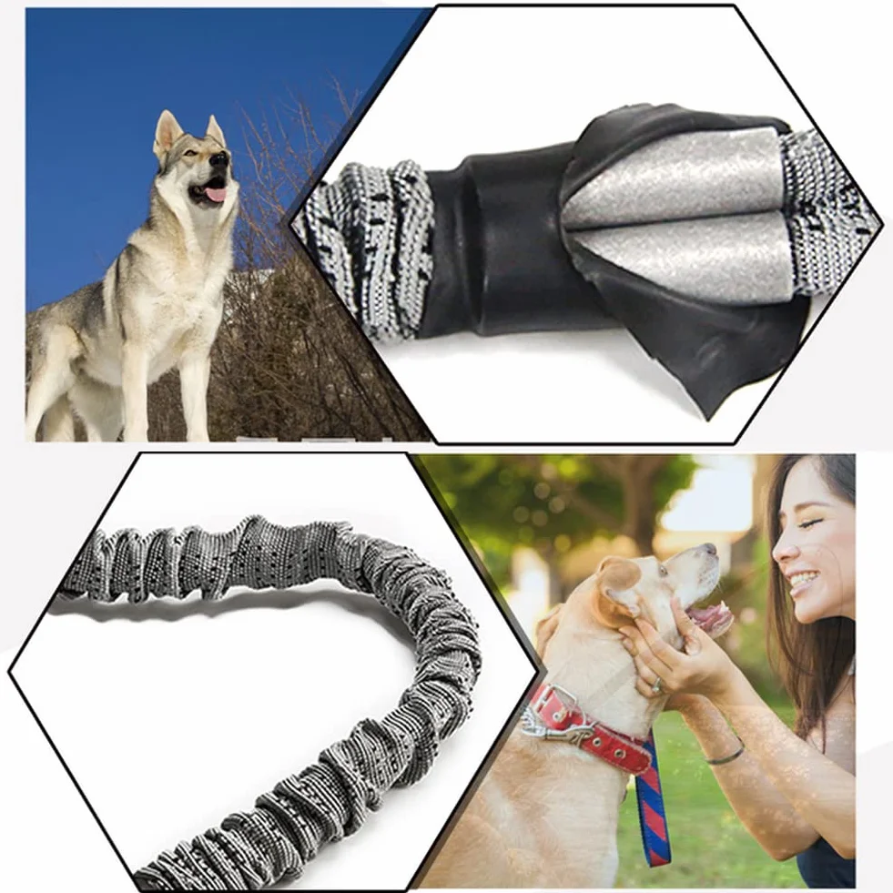 Laisse Chien Élastique Nylon Anti Traction Grande Taille avec Poignée Rembourrée