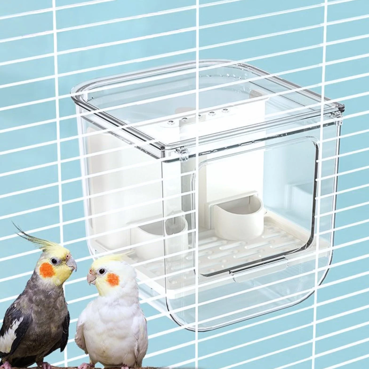 Bain d'oiseaux suspendu pour cage petite et moyenne taille perroquets inséparables pinsons perruches