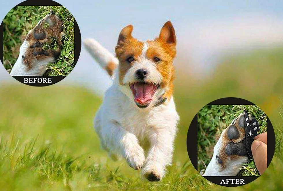 VALFRID Protecteur de Patte de Chien Anti-dérapant 40 pièces Auto-adhésif Chaussures Bottillons XXXL