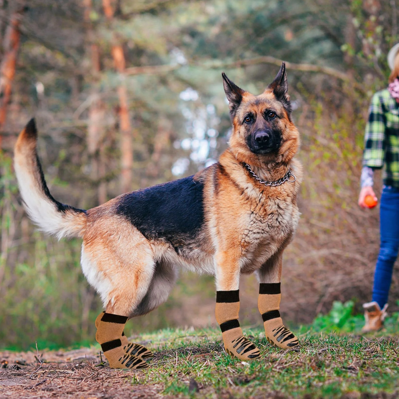 Chaussettes Antidérapantes pour Chien, Double Face, Sol en Bois Dur, Protège-Pattes, Taille M