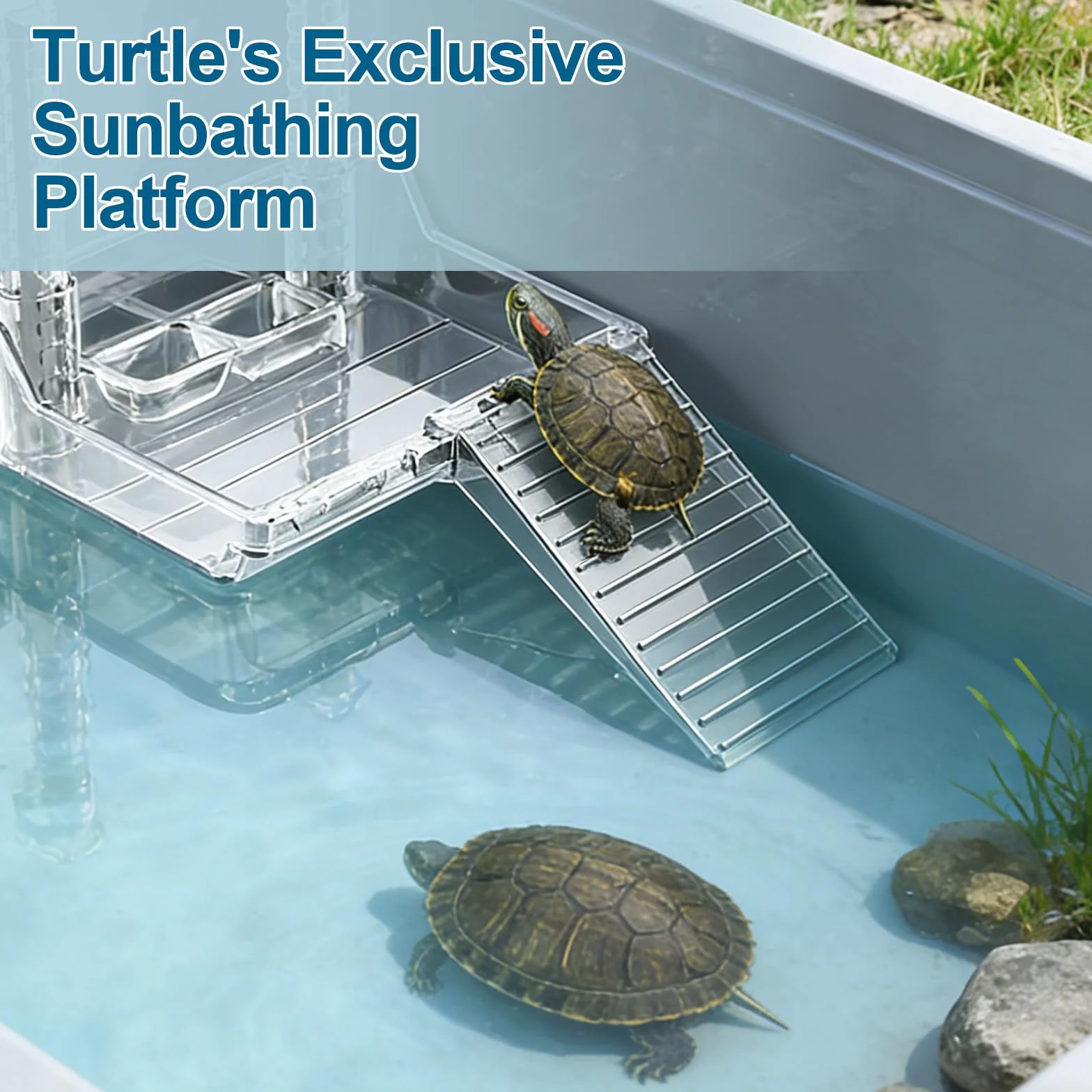 Plateforme Suspendue pour Tortues d'Eau - Accessoire Aquarium Réglable pour Petites Tortues Reptiles Animaux Aquatiques Taille M