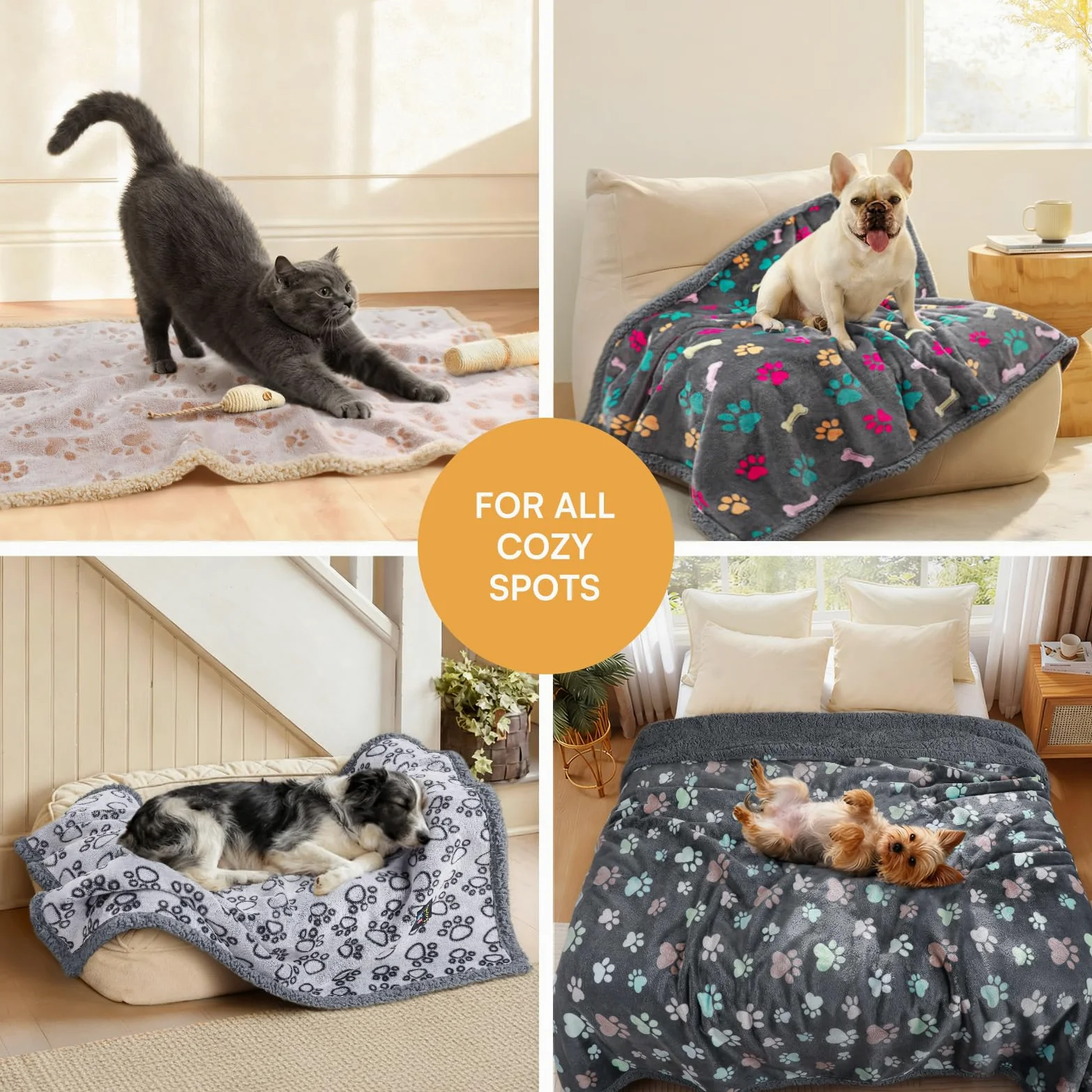 Luciphia Couverture imperméable pour animal de compagnie – Couverture anti-pipi liquide pour chien et canapé – Housse de protection réversible en polaire Sherpa pour chiens et chats de taille moyenne