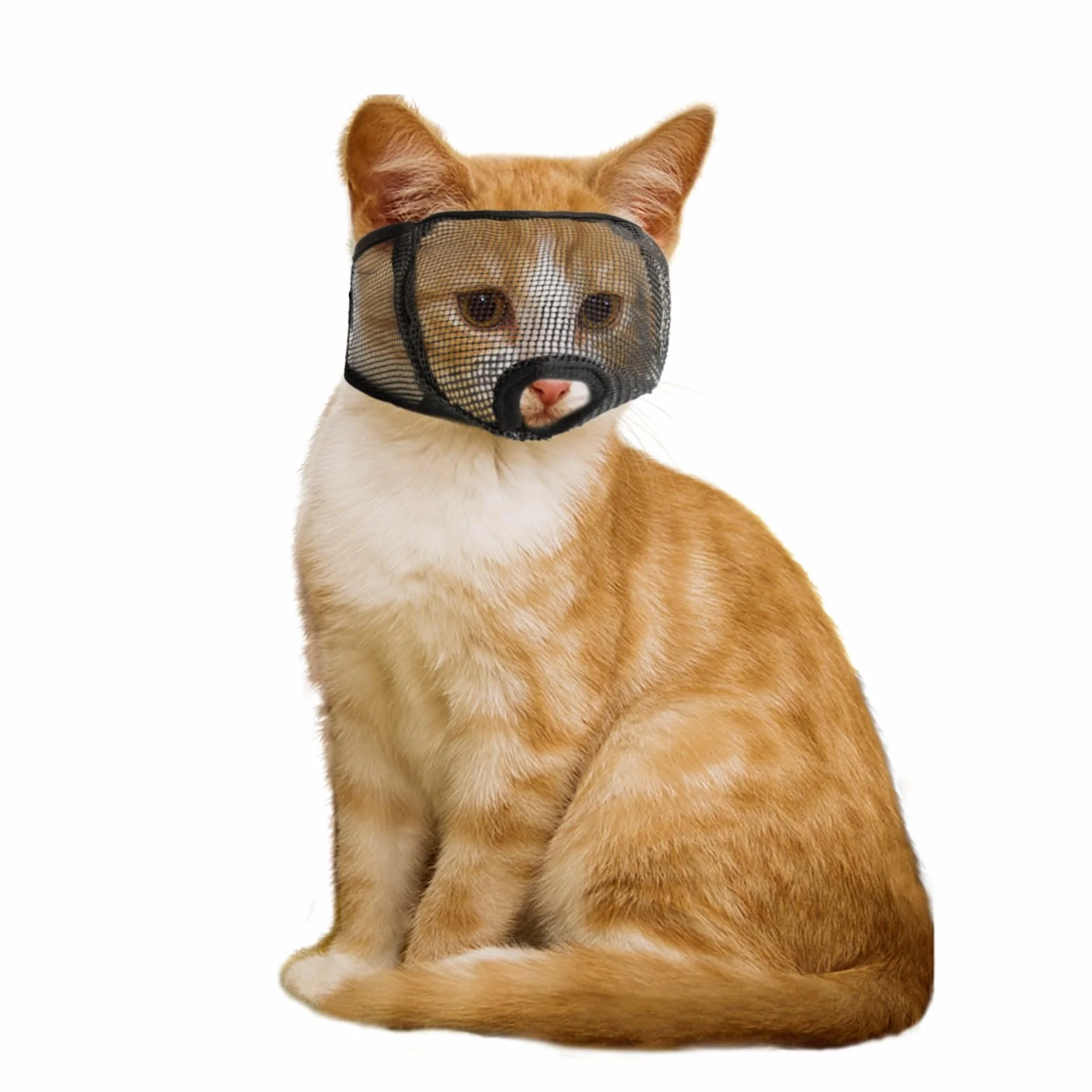 Muselière pour Chat OHCOZZY XS Noir en Maille Souple Anti-Morsure
