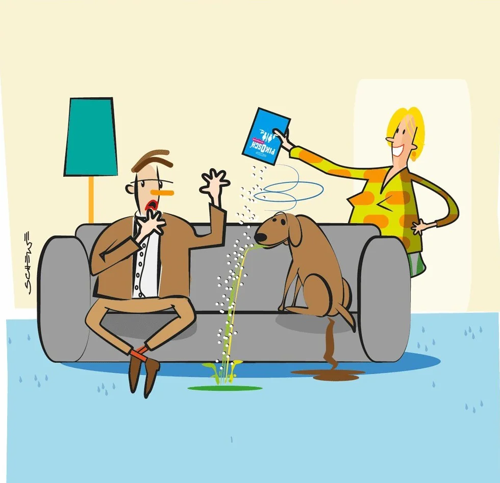 Pet nettoyant spécial - absorbeur de liquide - poudre de vomi pour élimination urine excréments animal