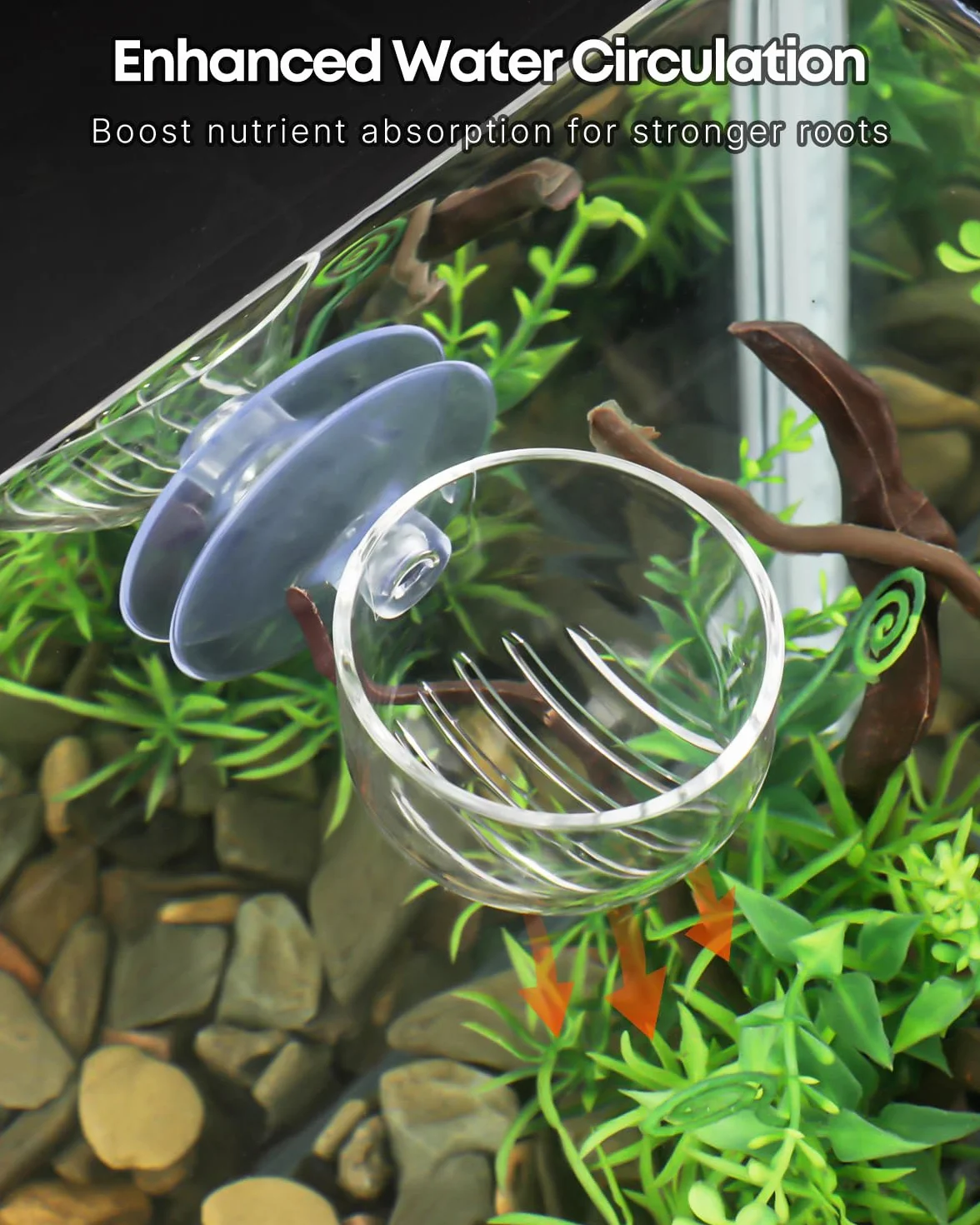 Pawfly Lot de 2 supports de plantes d'aquarium transparents en plastique avec ventouse