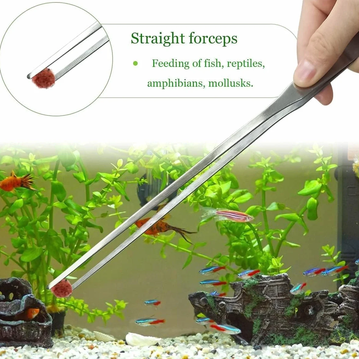 Pinces Courbées Longues 27 cm 2 pièces pour Aquarium Terrarium Reptiles