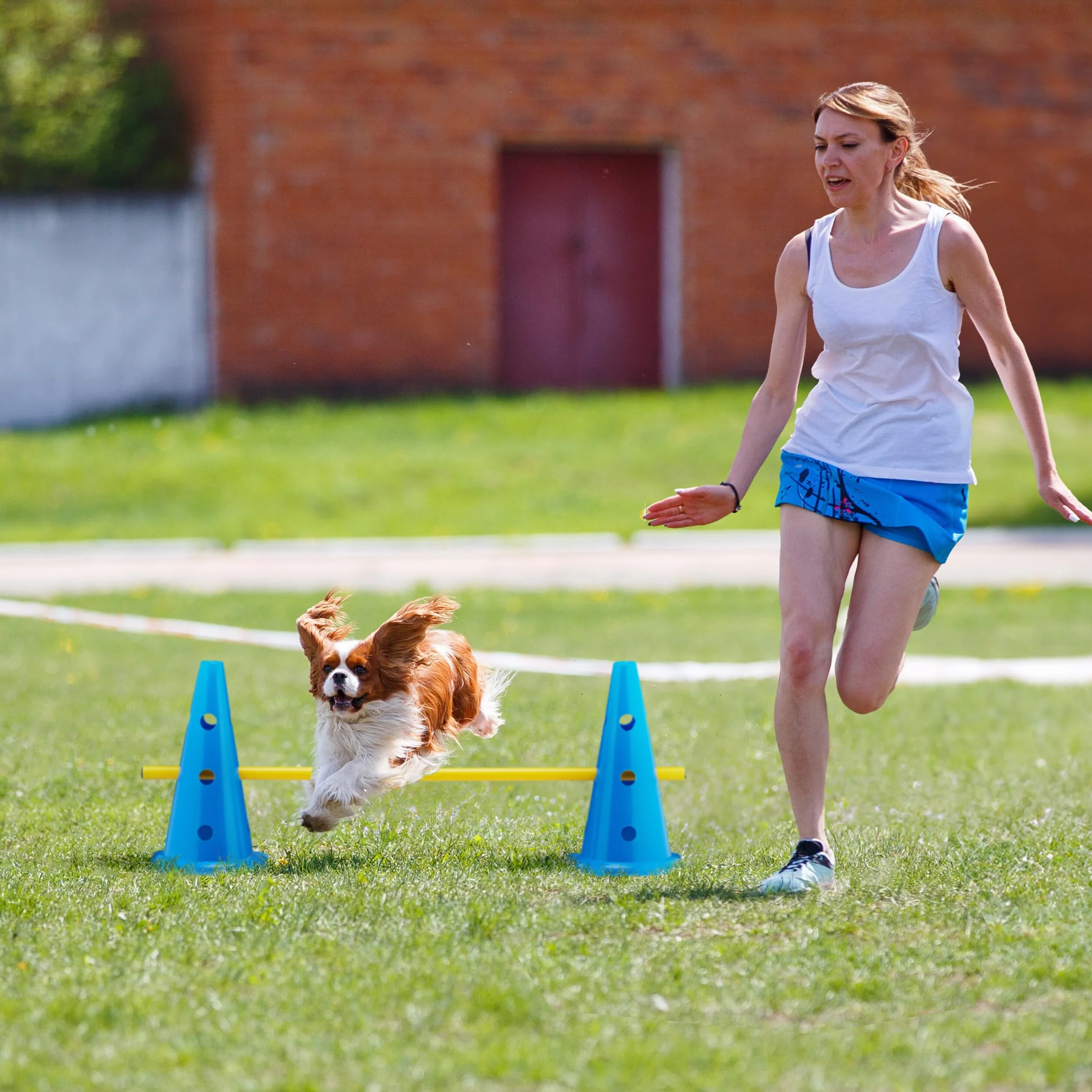 Relaxdays Set 18 pièces Cônes et Barres Agility Chien Football Bleu Jaune