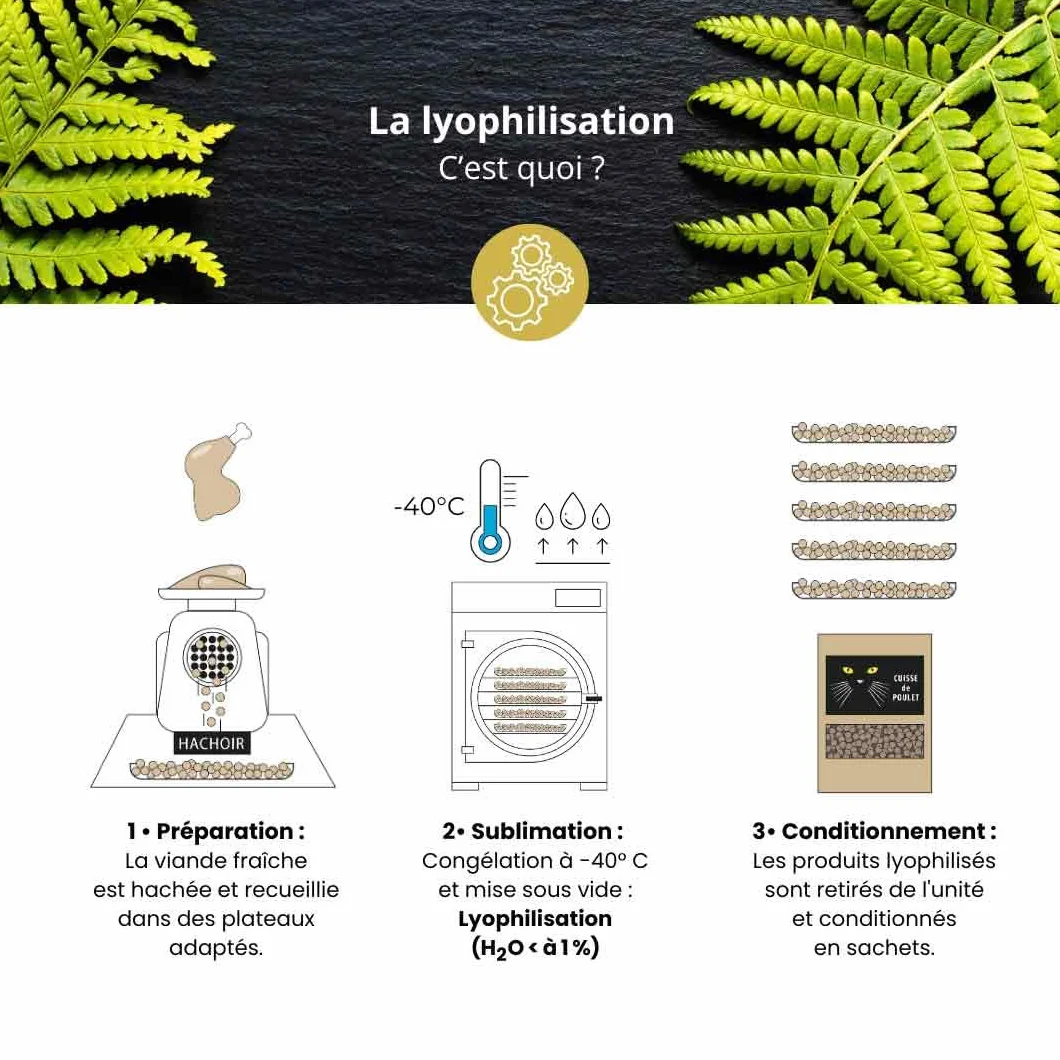 Mixte Barf lyophilisé spécial Chaton