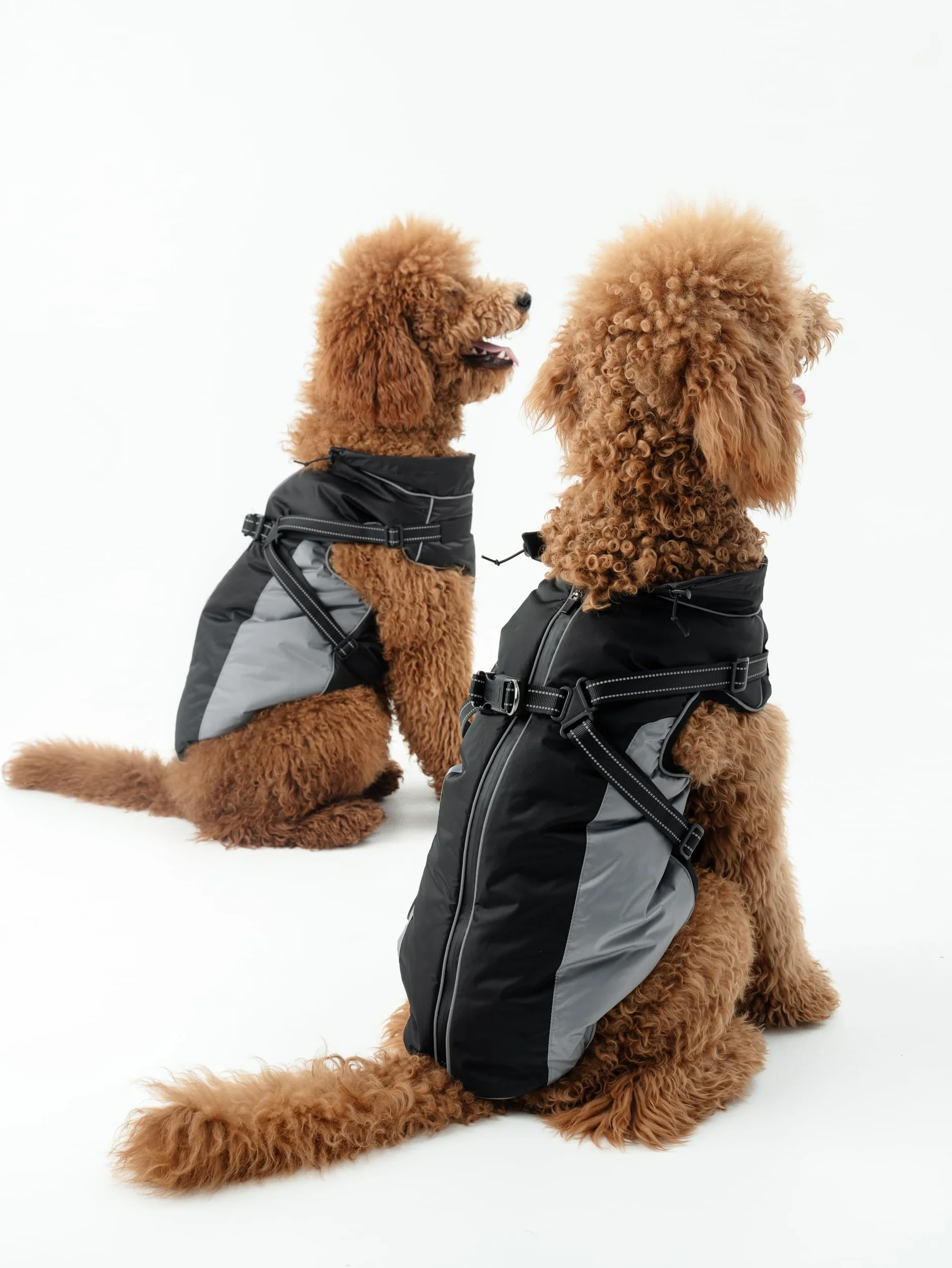DOGOPAL Manteau Imperméable pour Chien avec Harnais Intégré – Veste de Pluie Réfléchissante, Coupe-Vent et Chaude pour Chien, Veste de Protection pour Petits, Moyens et Grands Chiens (Gris, 45)