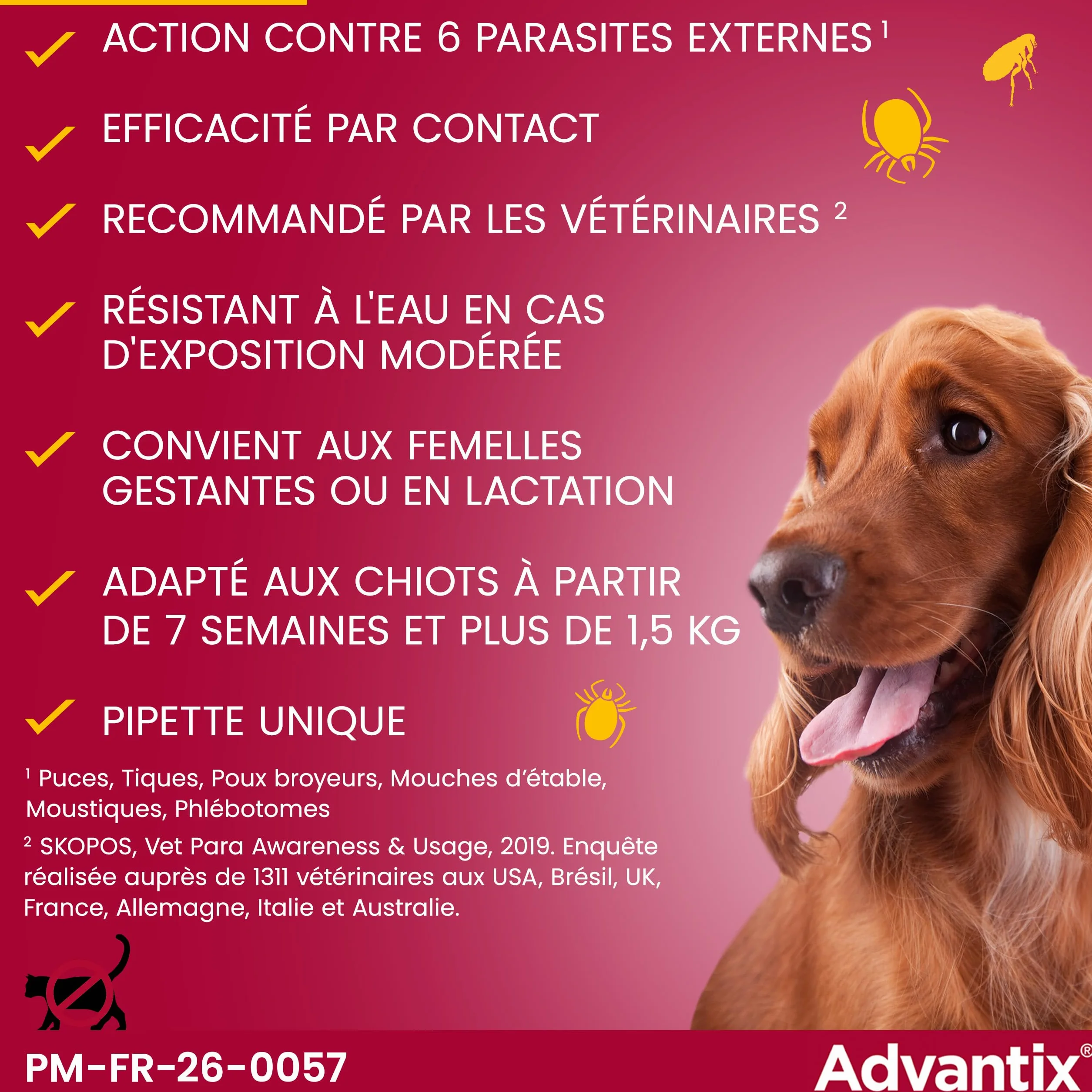 Advantix Très Petit Chien 1,5-4 kg Pipettes 6 parasites Protection 4 semaines 6 x 0,4 ml