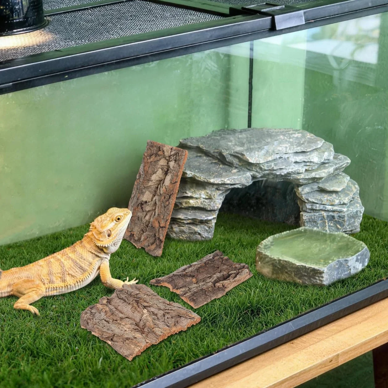 DOITOOL Lot de 4 Toiles de Fond en écorce de liège Naturel pour Reptiles Terrarium