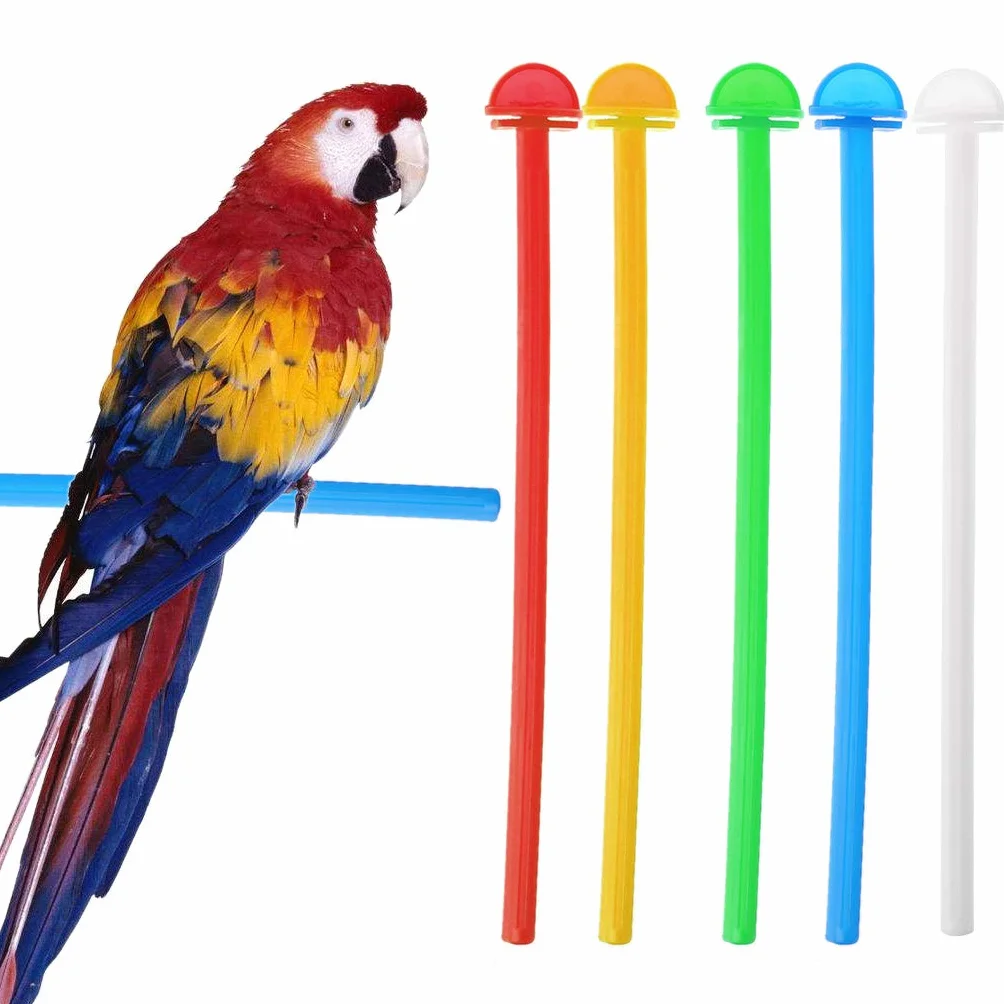 Perchoir en plastique durable pour cage à oiseaux canaris perruches
