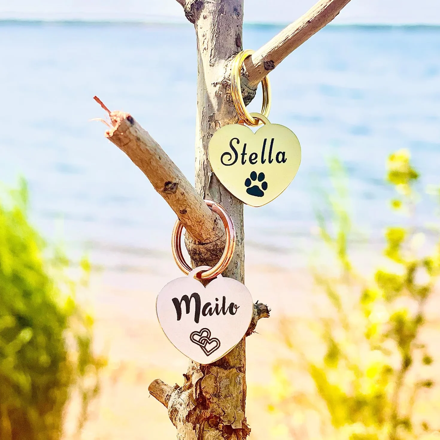 Médaille pour chien GOLDEN PAW en acier inoxydable avec gravure cœur personnalisable dogtag Or