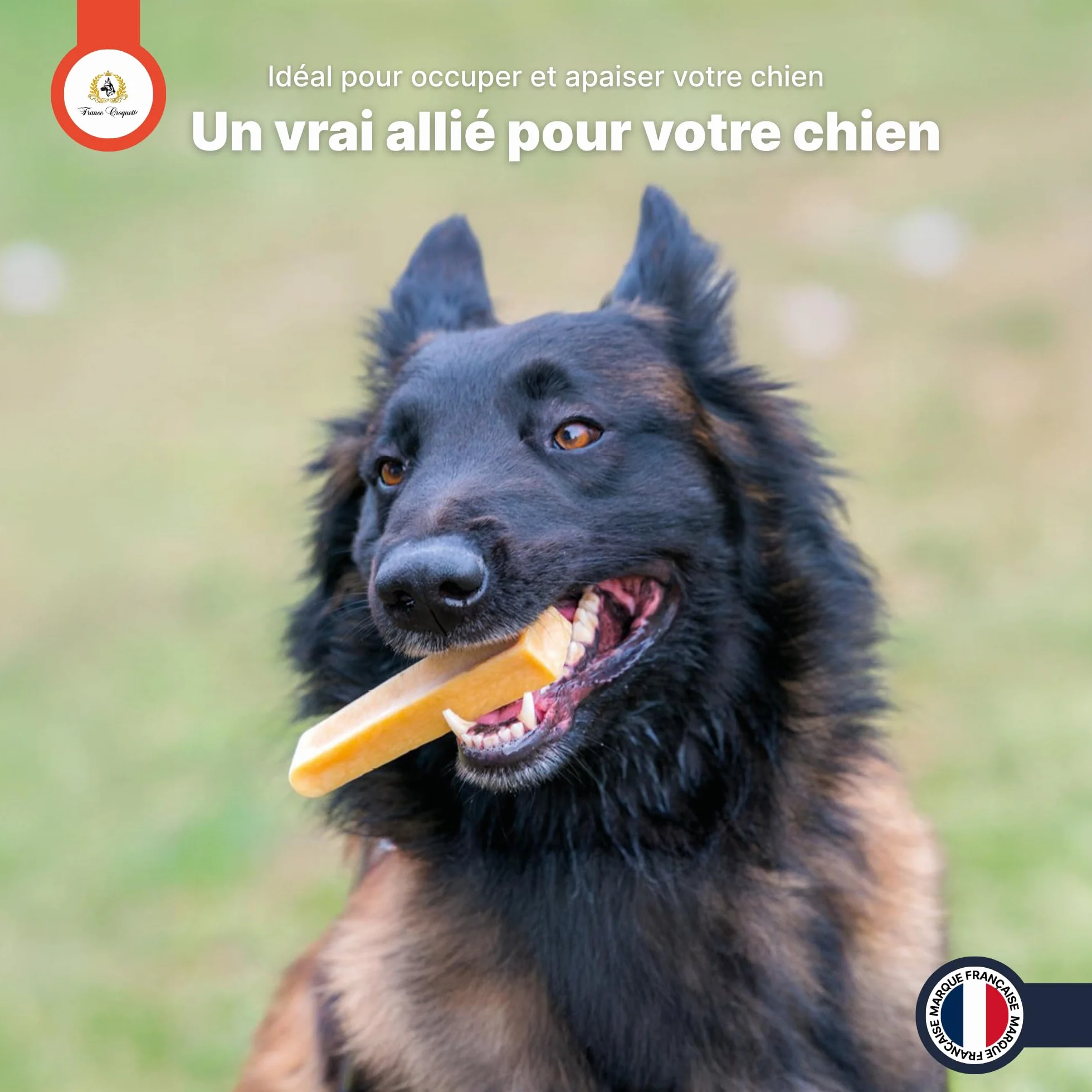 Fromage de Yak M 60-90g friandise naturelle à mâcher pour chien moins de 20kg