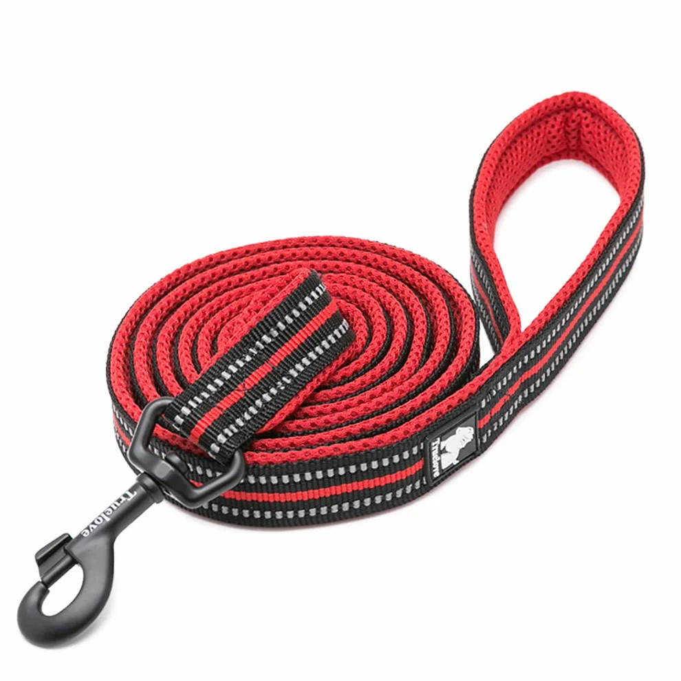 WINHYEPET Chien Laisse Nylon Réfléchissant 110 cm Rouge M