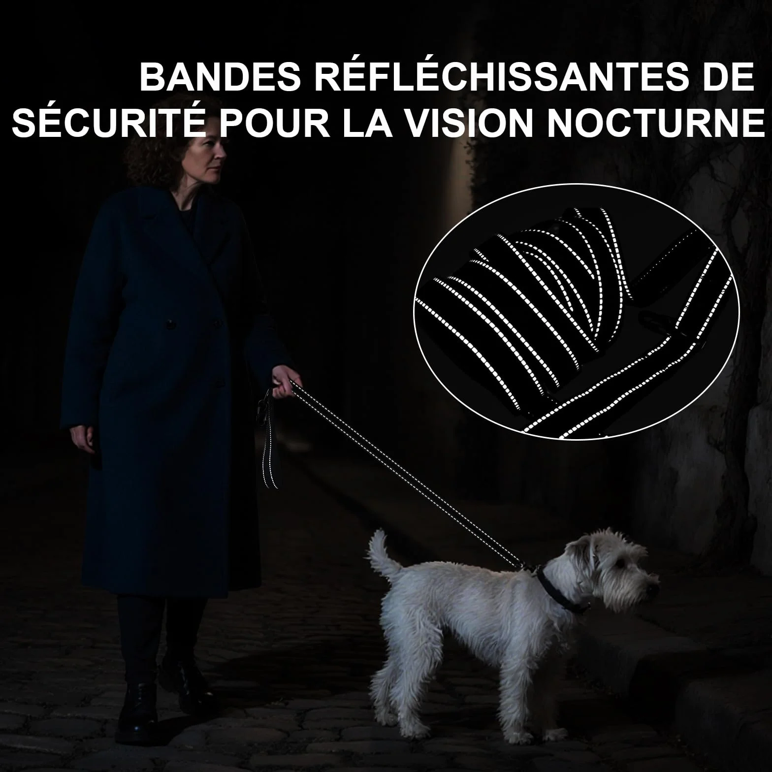 Longe pour Chien 3M 10M 20M 30M Laisse de Dressage Réfléchissant