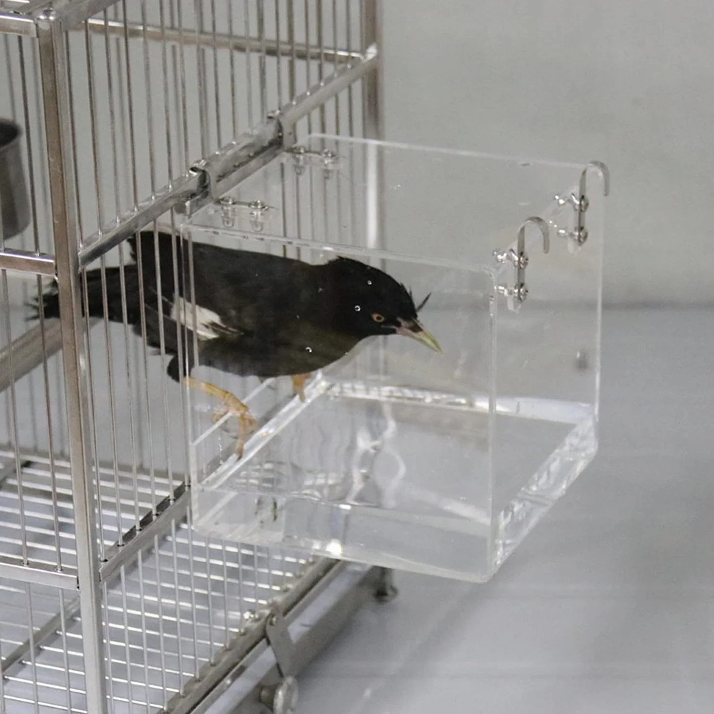 GURECOD Bain d'oiseau Suspendu Cube 13x13x11cm pour Petits Oiseaux Canaris Perroquets