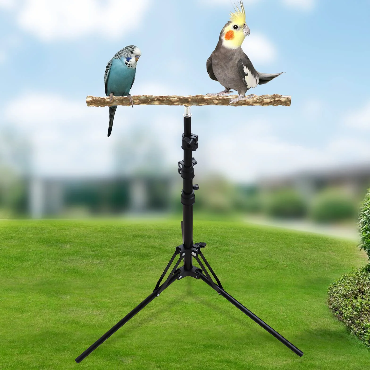 Perchoir en bois de poivre naturel hauteur réglable pour oiseaux petite et moyenne taille intérieur extérieur