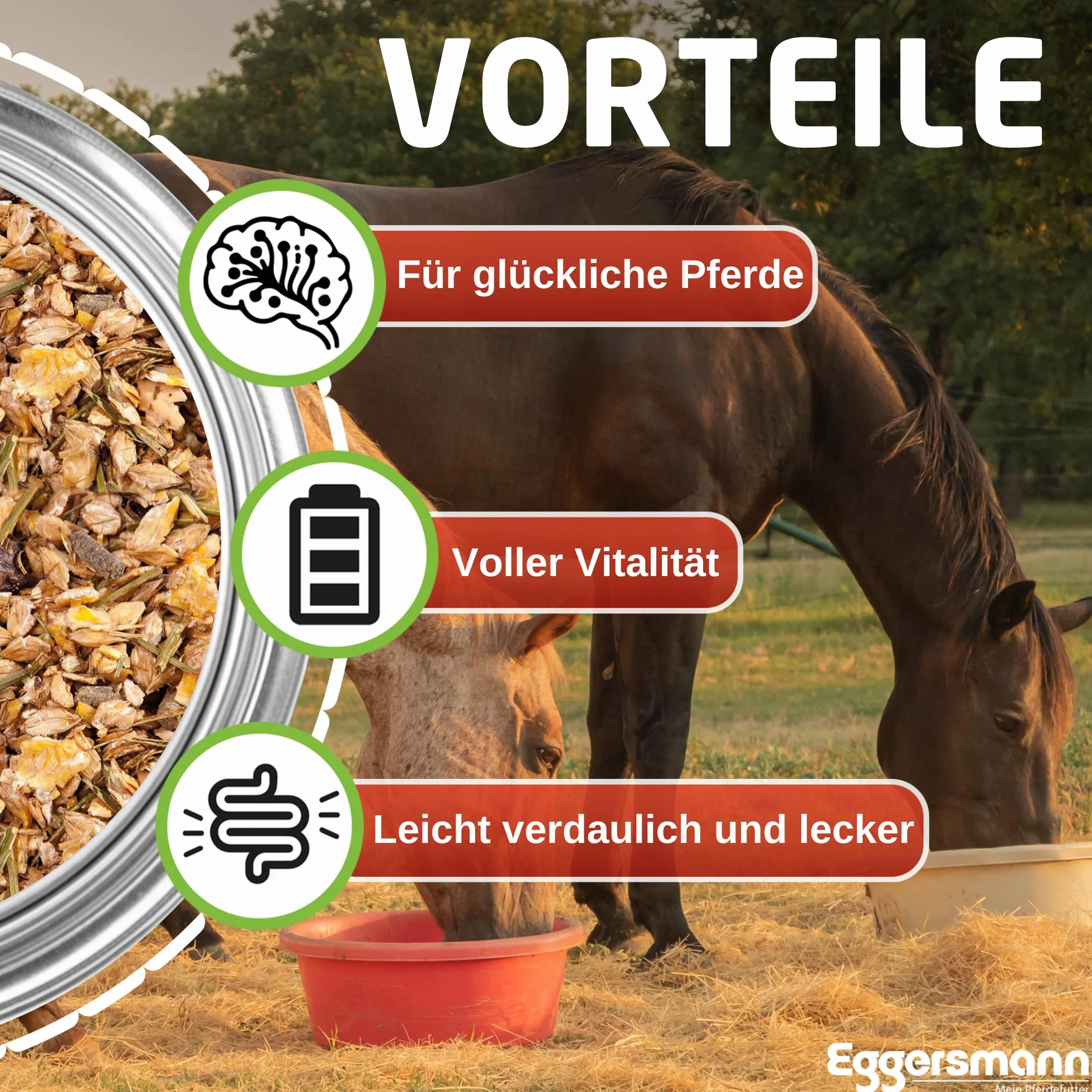 Eggersmann EMH Senior Sac de céréales pour Chevaux âgés avec sélénium - Nourriture Naturelle