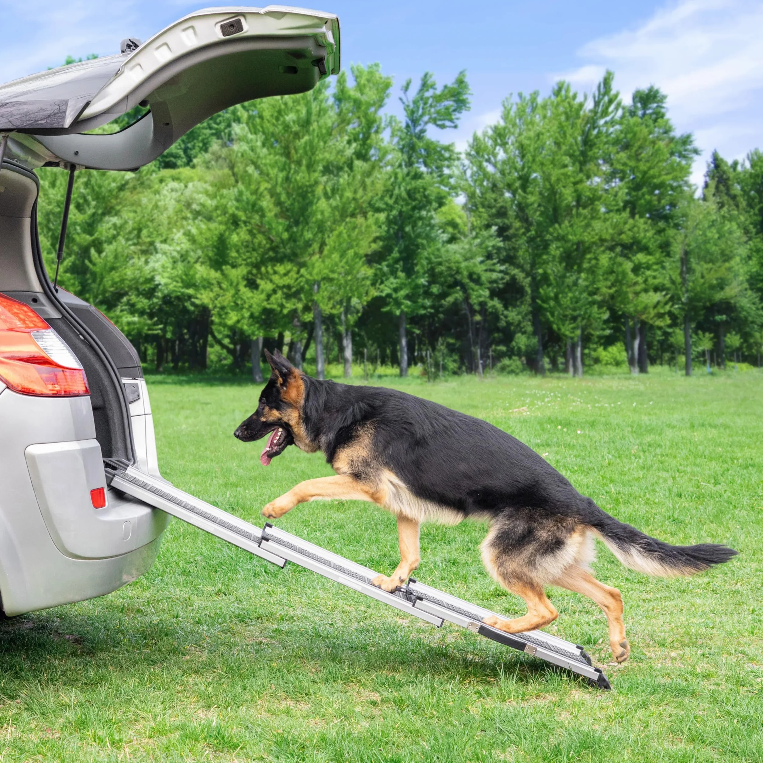Rampe télescopique pour Chien Voiture SUV 90kg Antidérapante Sécurité Nuit