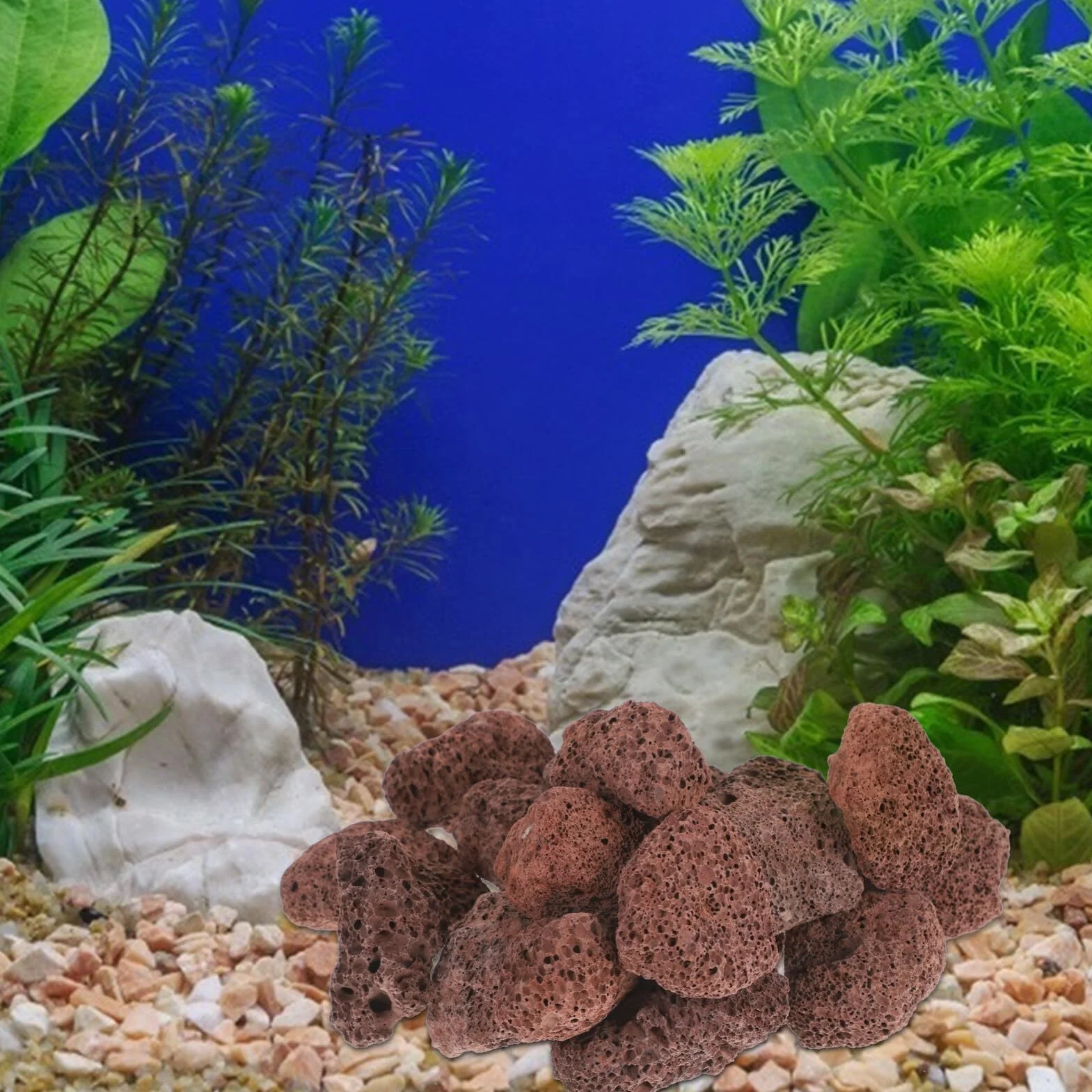 iplusmile Pierre De Lave Volcanique pour Aquarium 6X6X6 Cm Roche Volcanique Naturelle pour Filtration Et Décoration De Réservoir d'eau Douce Et Marine Support De Filtre Et Substrat Aquarium