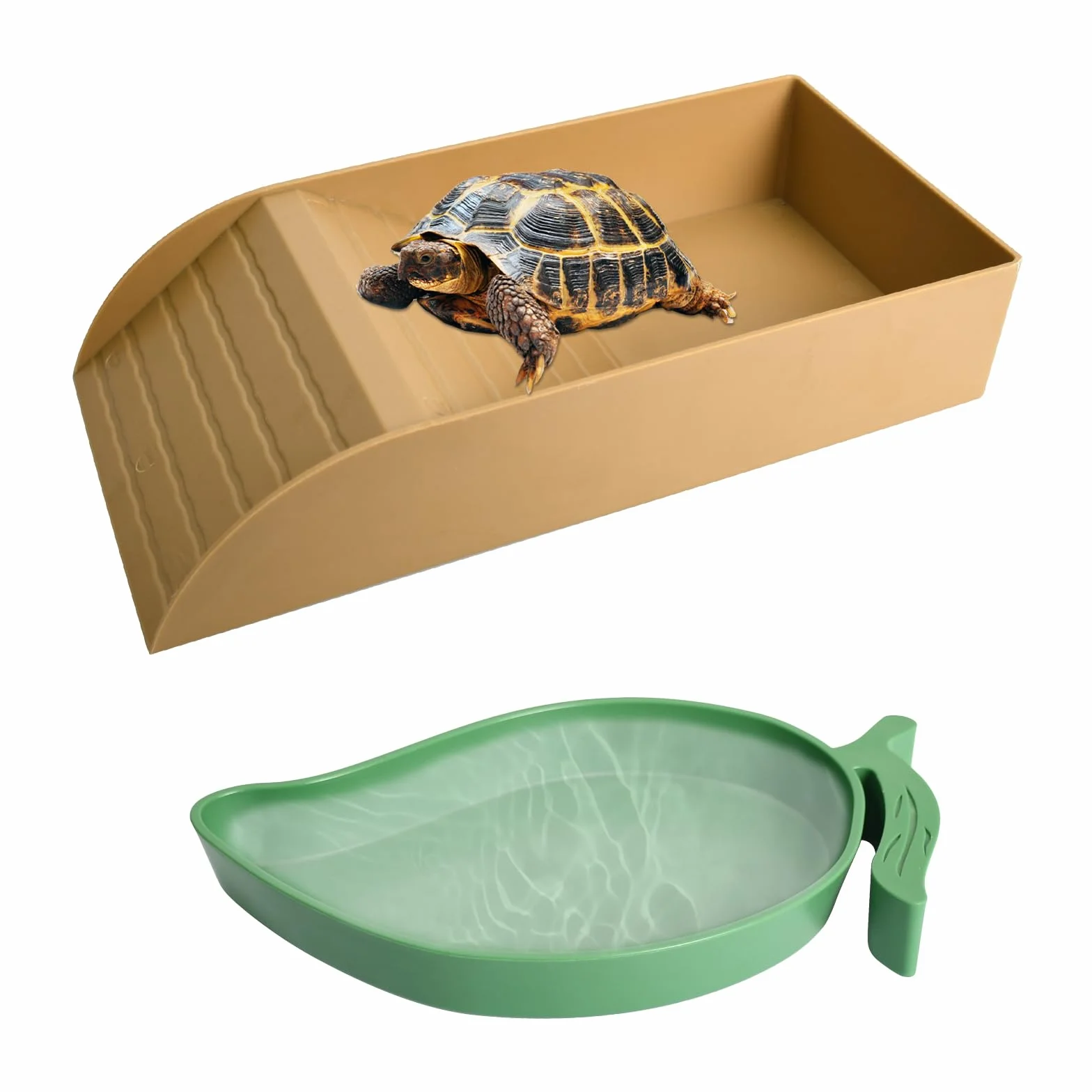Bassin de Bain Tortue avec Bol Mangue - Accessoire Terrestre, Mangeoire Terrarium