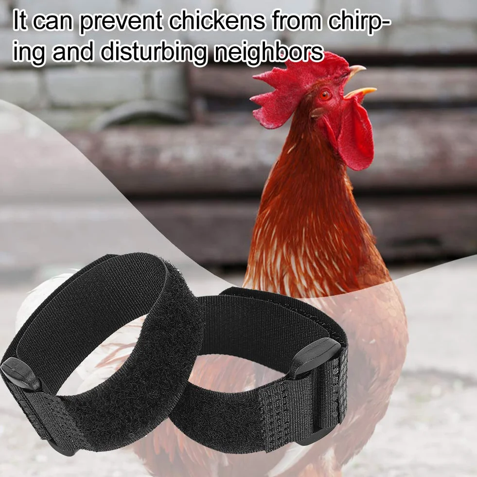 Collier anti-crochet anti-bruit pour coqs d'animaux de compagnie, 10 pièces, empêche les poules de crier (style normal) (Type 2)