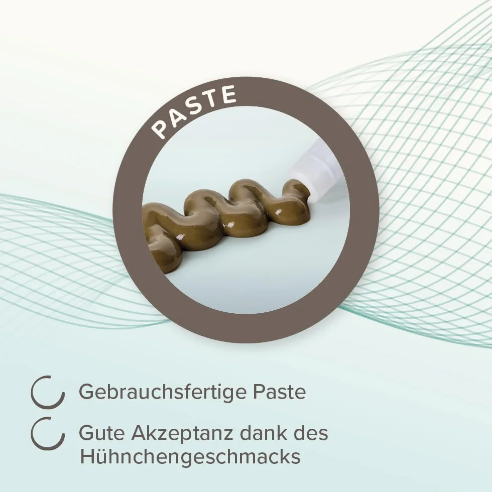 BEAPHAR Pâte IntestoPro pour Chats avec zéolite MOS & FOS 20 ML