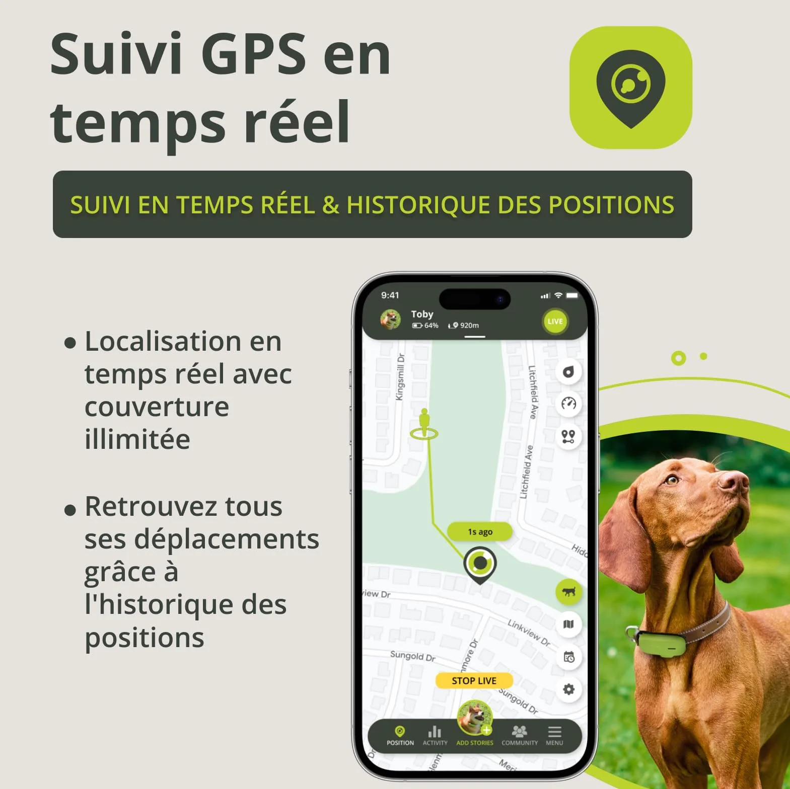 Kippy GPS pour Chiens Traceur étanche avec Collier, Suivi Activité Santé, GEOFENCE, Vert