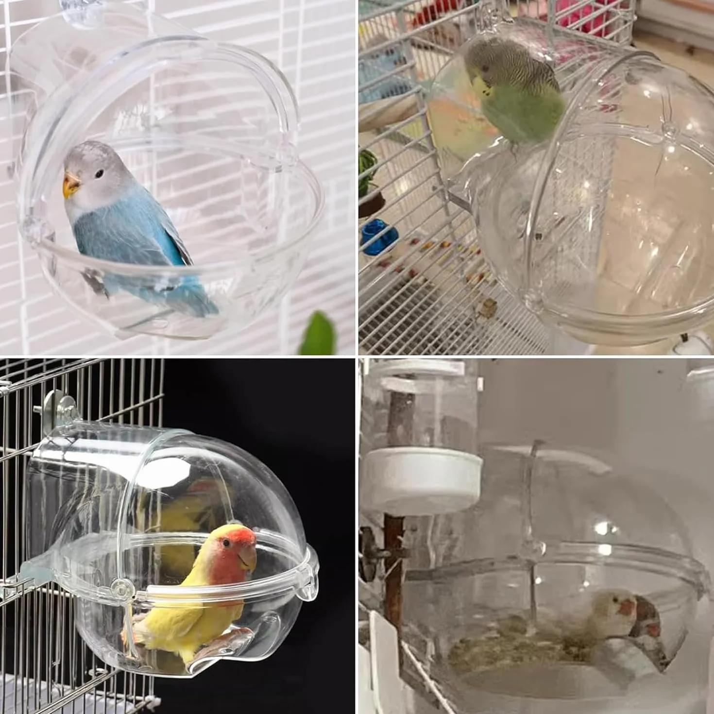 Baignoire pour Oiseaux Transparente pour Cage et Perroquet