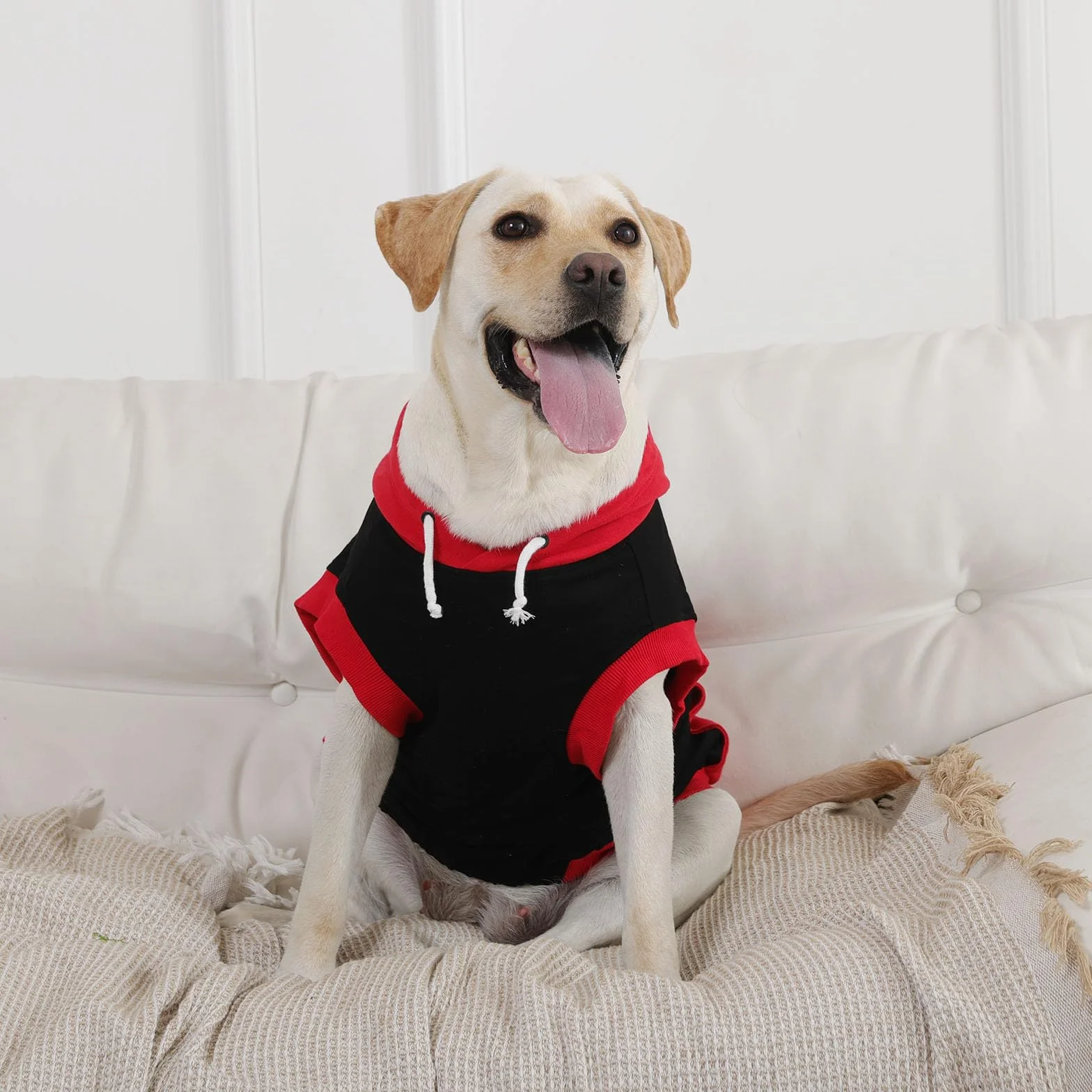 Sweats à Capuche pour Chiens sans Manches en Coton Pull Chien Rouge