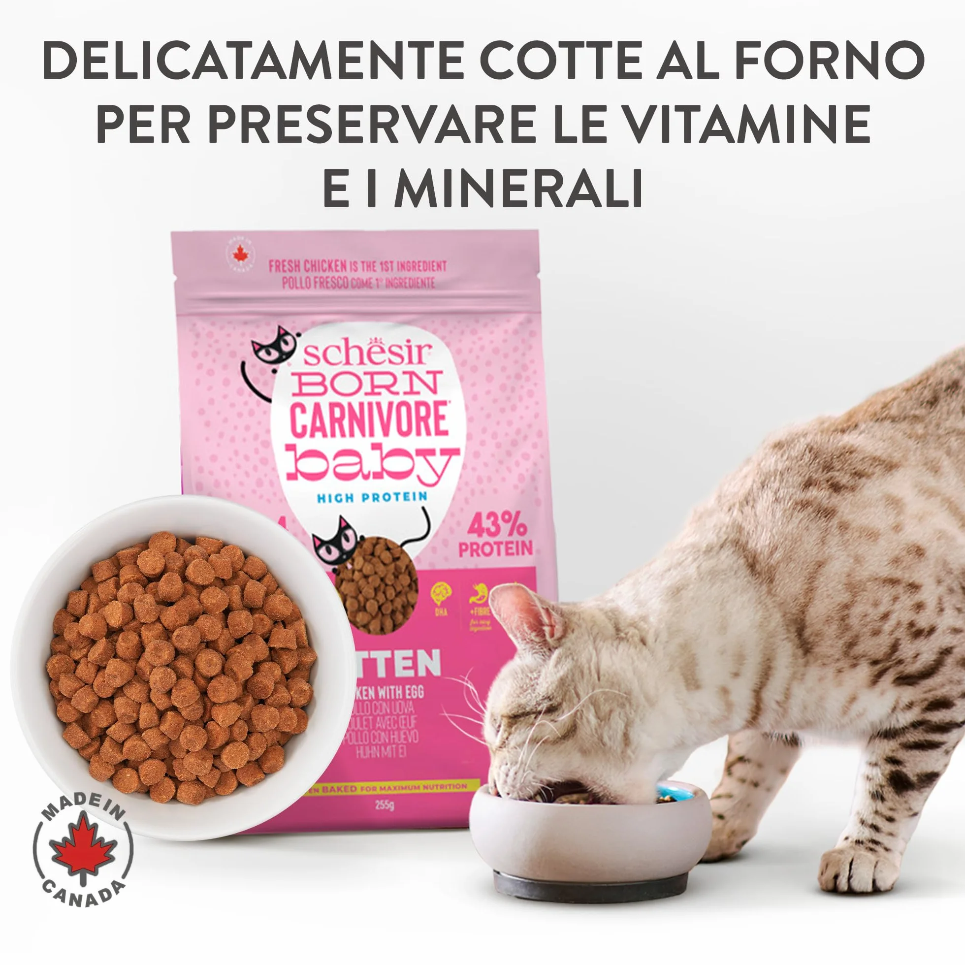 Schesir Born Carnivore Baby Croquettes Poulet et Œuf pour Chatons, Cuites au Four 1,25 kg