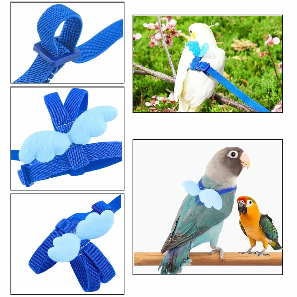 Corde de formation réglable, laisse pour perroquets, harnais de perroquet réglable pour animaux de compagnie et oiseaux laisse pour activités de plein air corde de formation(bleu)