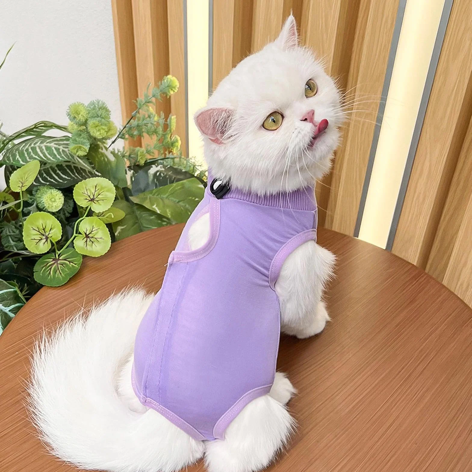 Gilet de Récupération pour Chat Post-Opératoire Anti-Léchage, Combinaison de Stérilisation Violet + Bleu (M)