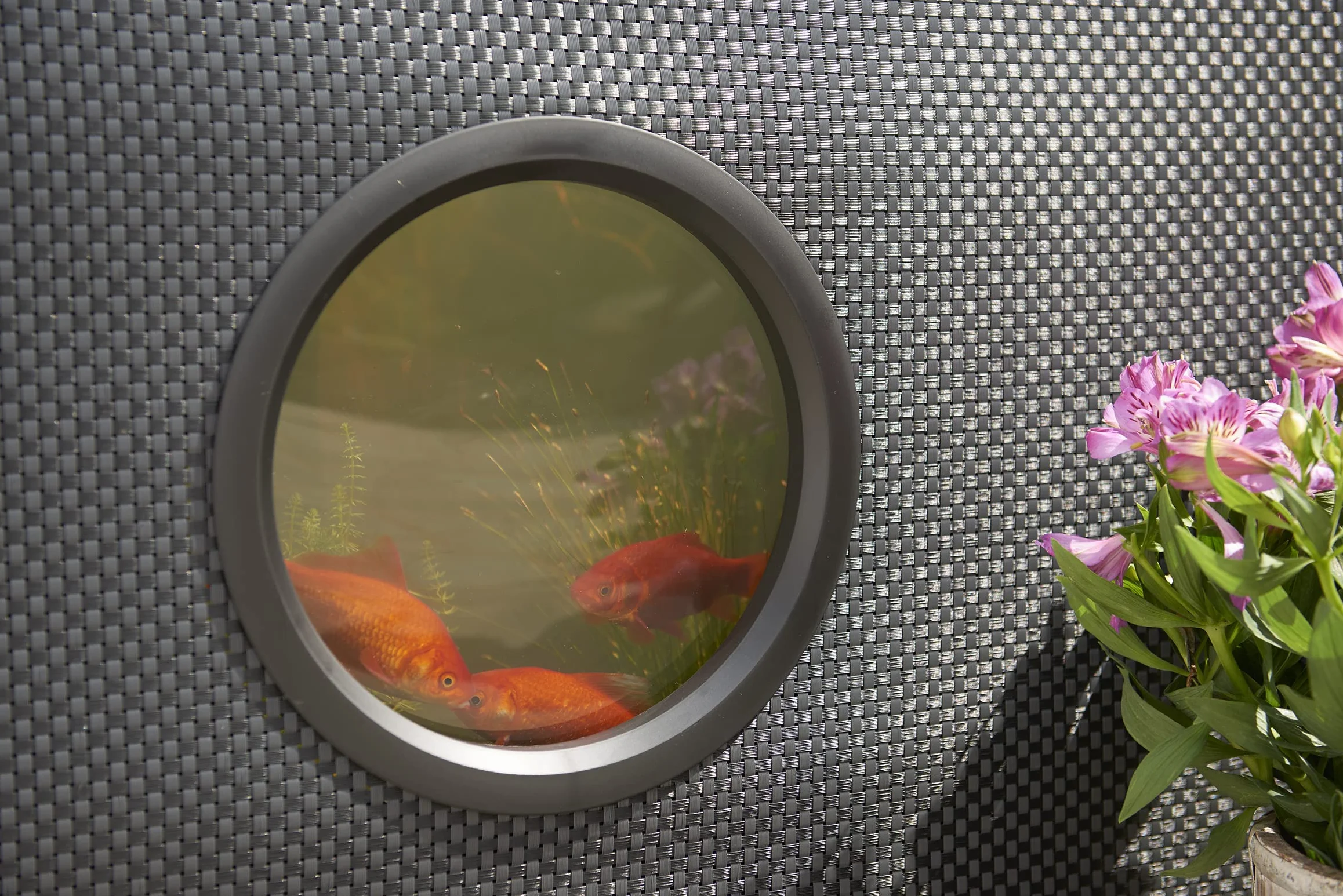 HOZELOCK Aquarium Moderne 500L Noir Installation Rapide Sans Outils Twist & Lock Hors-Sol 3 Fenêtres latérales