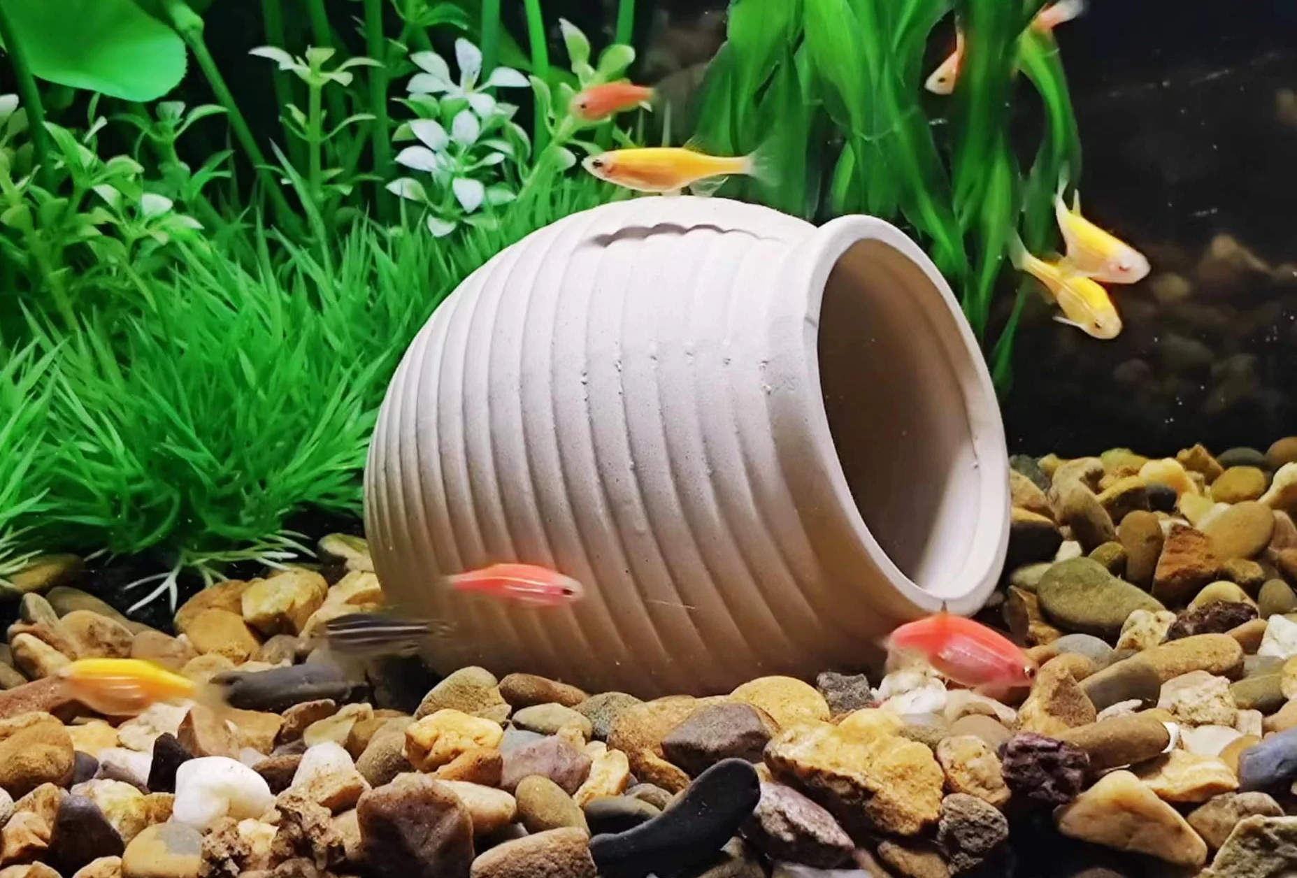 Pierre cachette d'aquarium pour poissons, grotte en céramique, jouet Betta Poisson