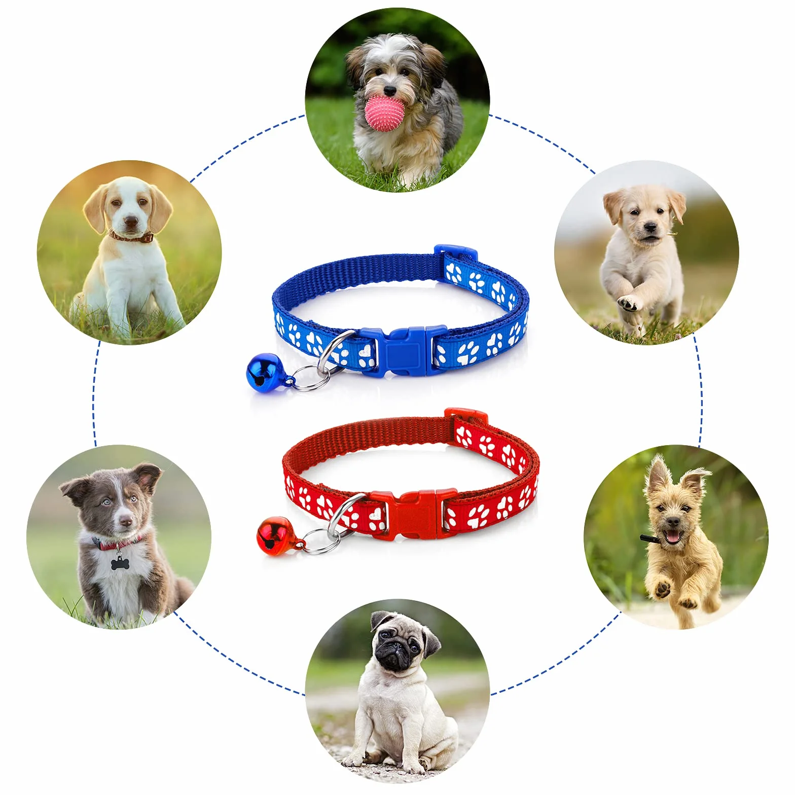 Molain Ensemble Collier et Laisse pour Chiens, Chatons, Chat, Réglable Collier de Voiture Durable et Laisse de Dressage Rapide