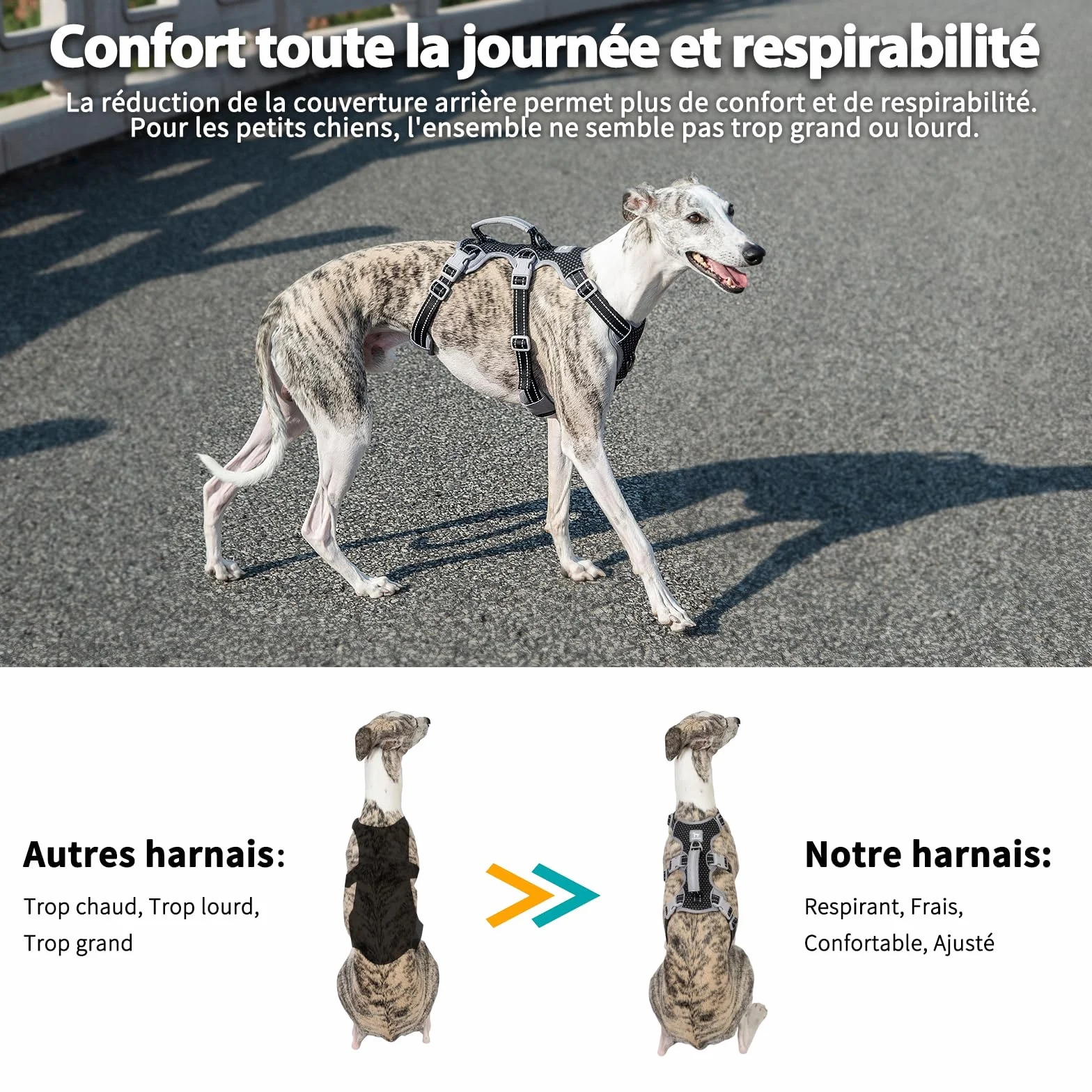 Harnais Anti-Fugue pour Chien Entièrement Réfléchissant avec Poignée, Respirant, Durable, Gilet Réglable pour Chiens de Taille Moyenne
