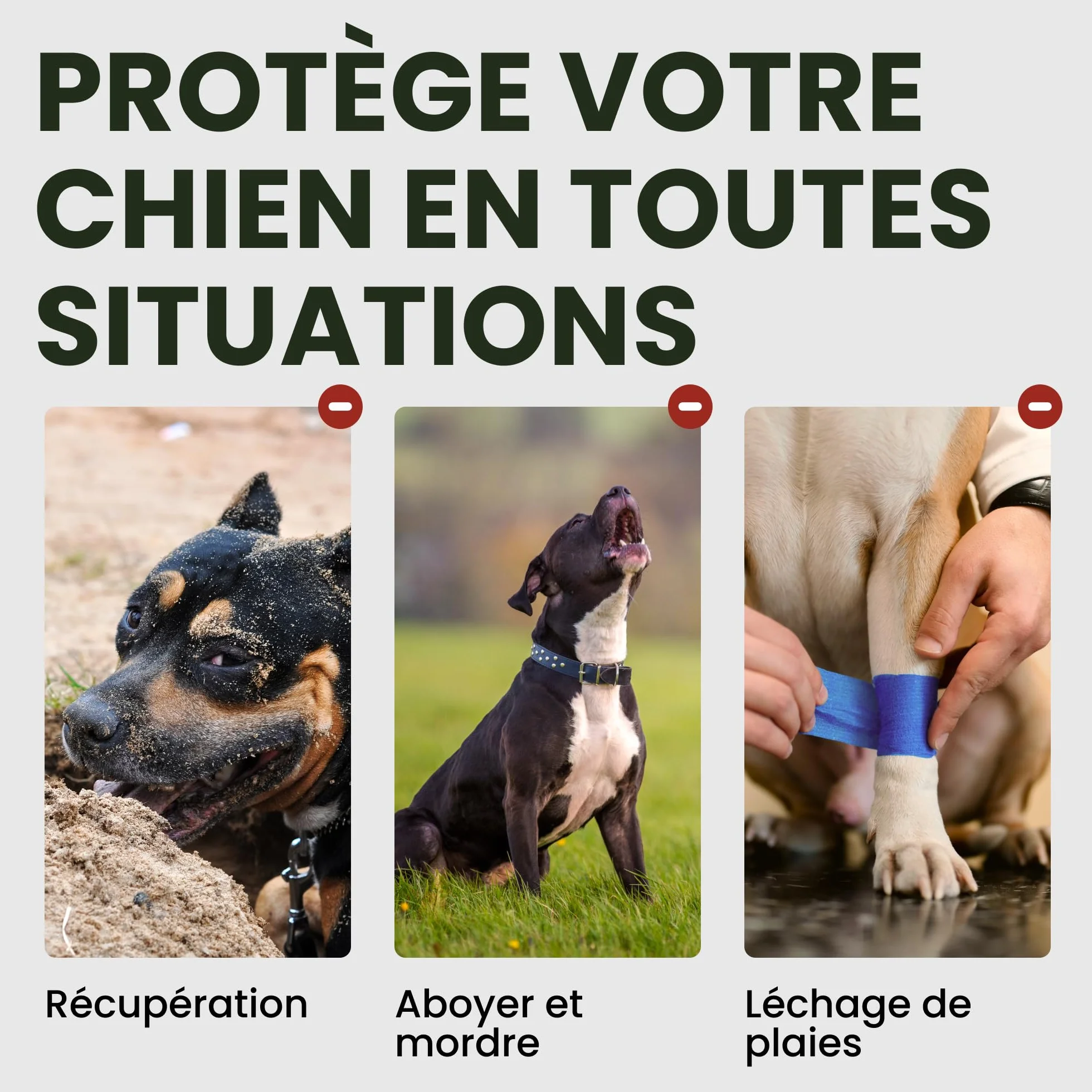 BRONZEDOG Muselière pour Chien en Fil de Fer - Berger Allemand pour Chiens de Taille Moyenne et Grande - Panier en métal Durable pour Mordre, mâcher et aboyer (L)