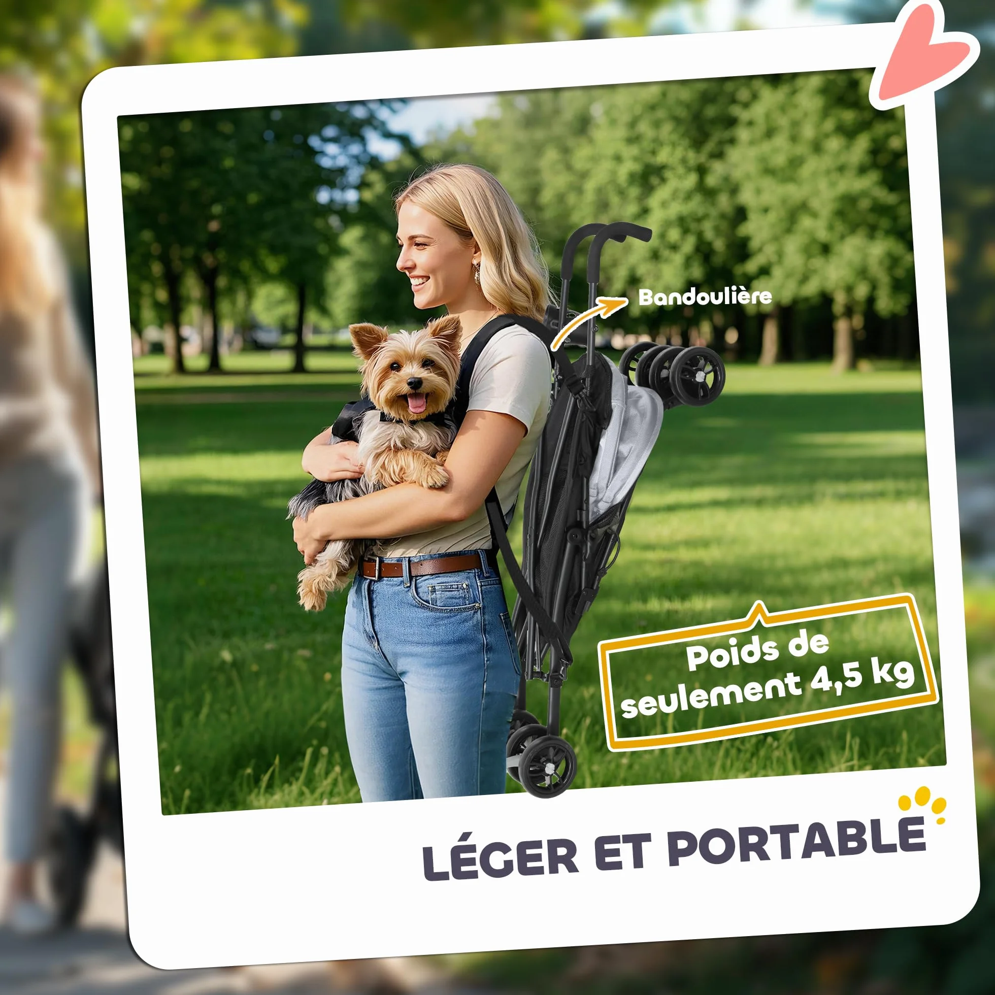 PawHut Poussette chien 4 roues pliable légère charge 4 kg gris clair