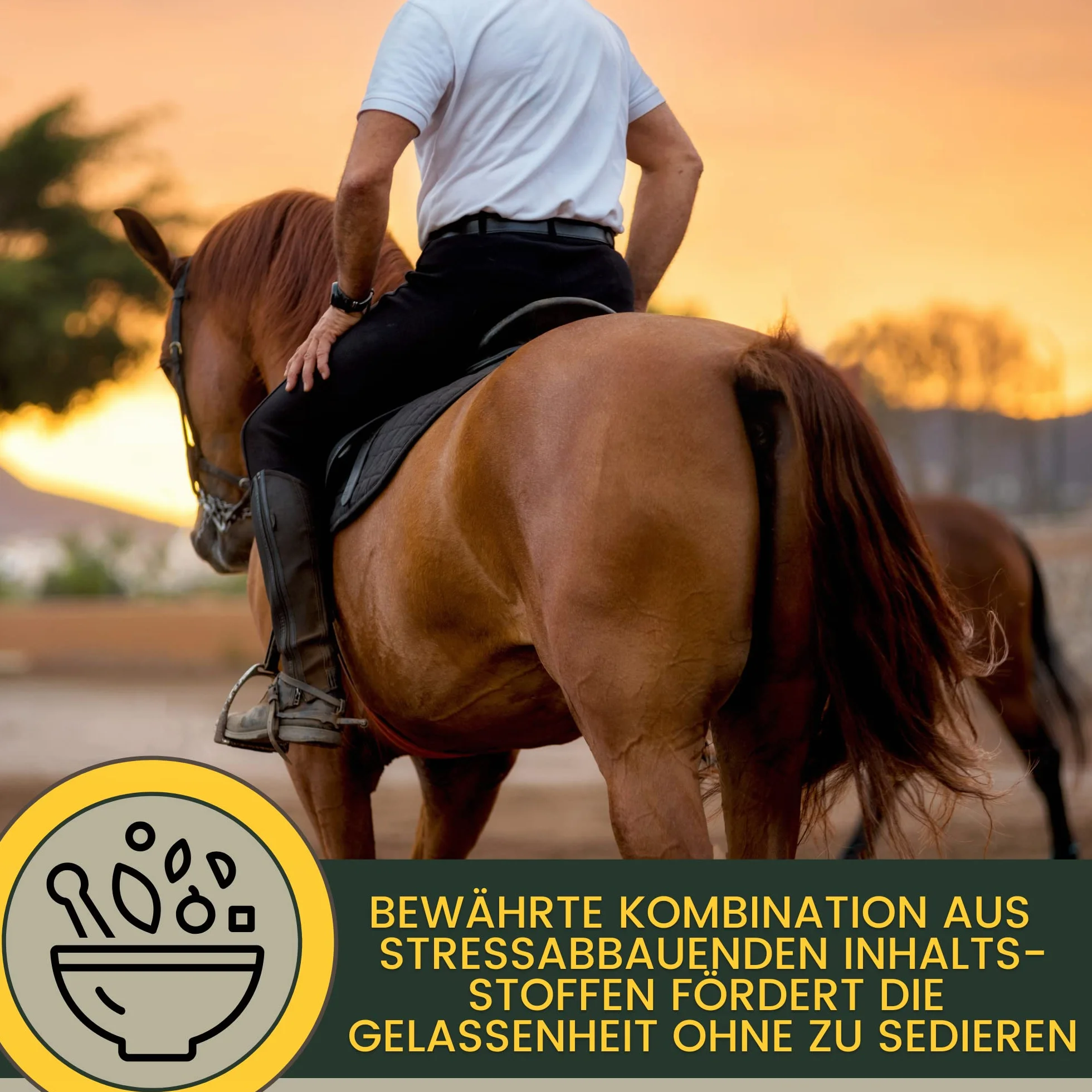 Magnésium Cheval 2 * 30ml Pâte calmante pour Chevaux Calm Relax Booster I Anti-Stress calmant nerveux L-tryptophane I en Cas d'anxiété Transport I Pâte de magnésium sérénité Cheval nerveux Haute Dose