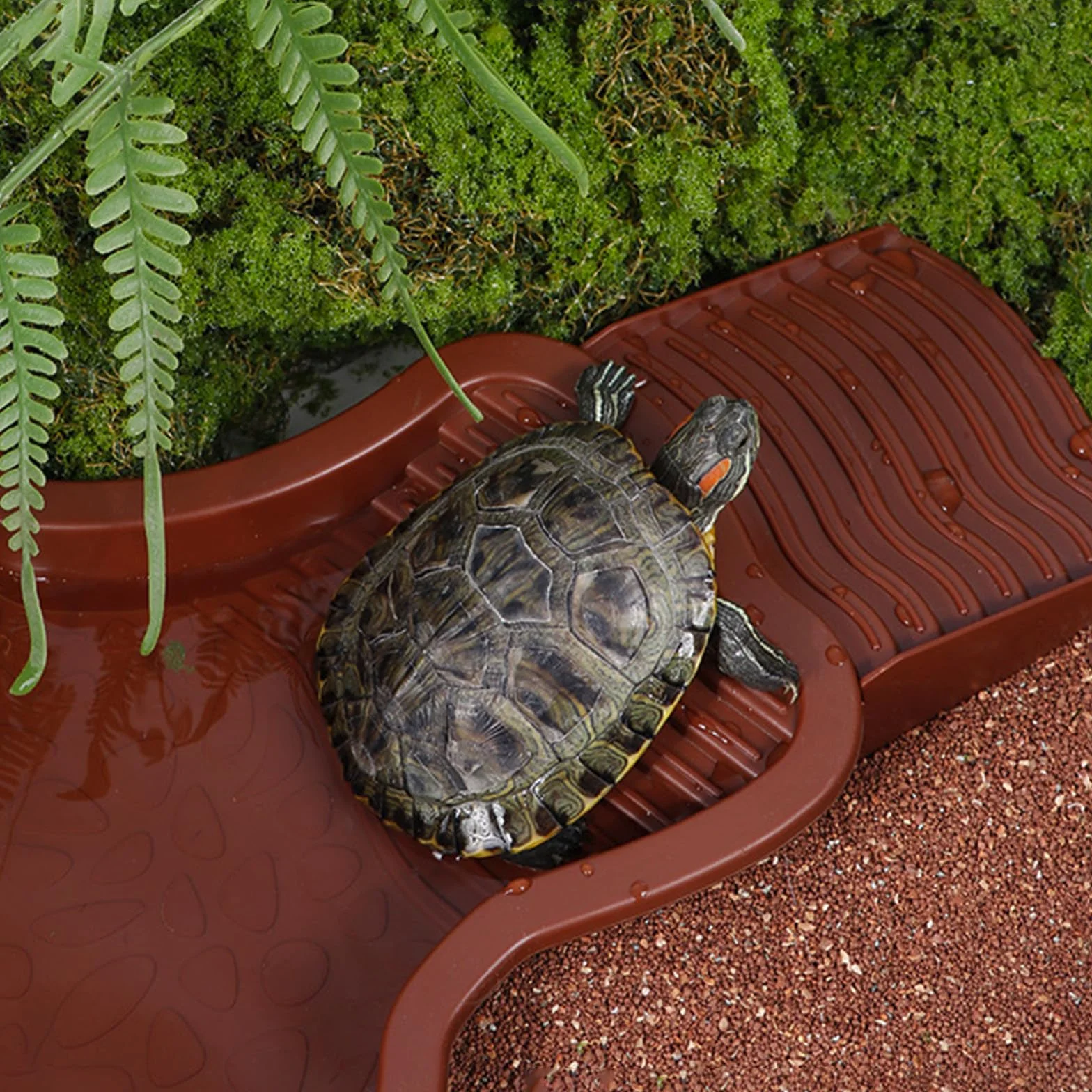Piscine Tortue Terrestre Mangeoire Plat d'eau Bassin pour Tortue avec Rampe Bol d'eau pour Reptiles avec Échelle Abreuvoir pour Tortues Bassin pour Animaux pour Aquarium Rouge
