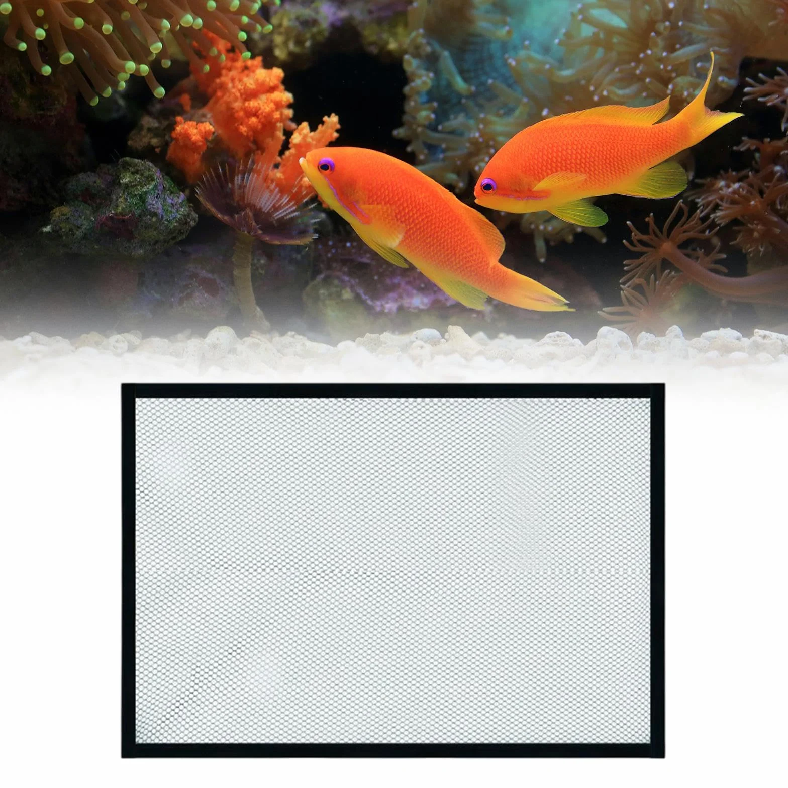 Couvercle supérieur d'écran d'aquarium, Filet Anti-Saut, 60x30cm