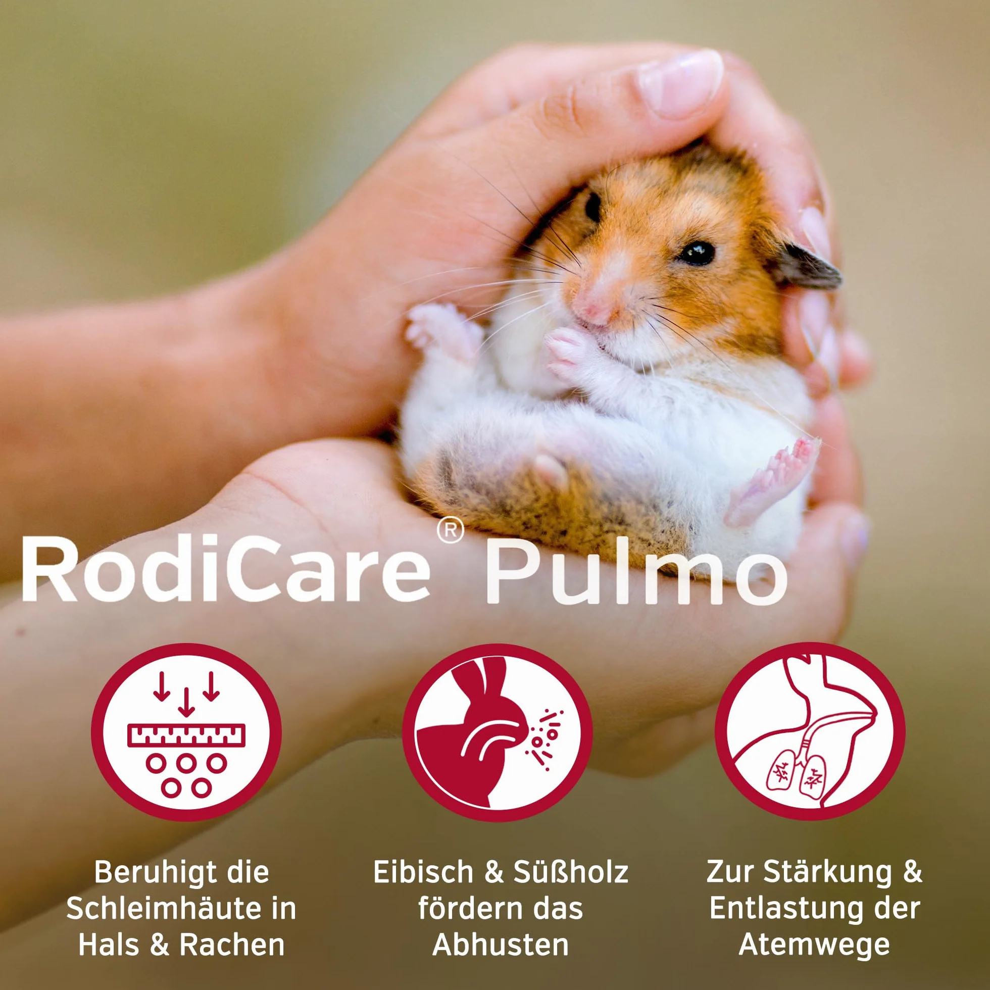 alfavet RodiCare Pulmo 2 x 20 ML Complément Alimentaire Voies Respiratoires Cochons d'Inde Rongeurs