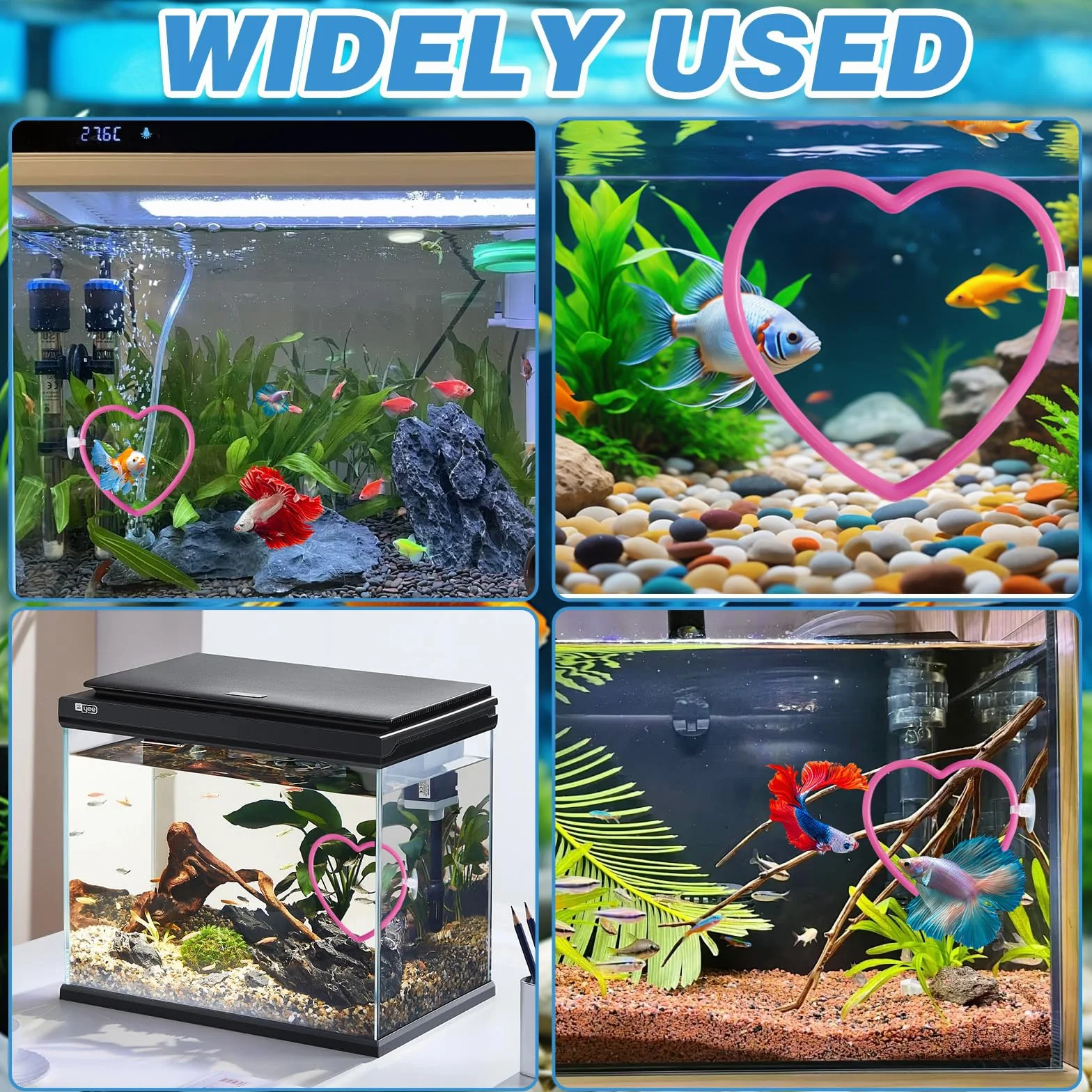 Aquarium Poissons Betta Accessoires Décoration Cœur Roses Résistant