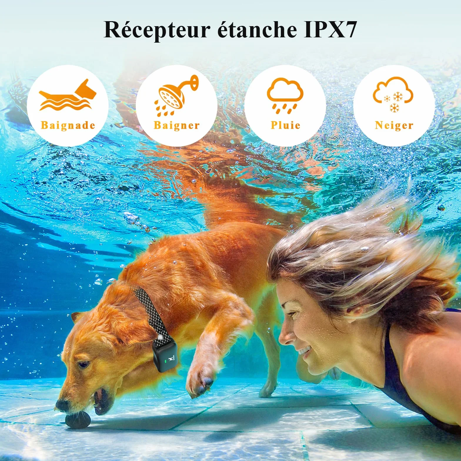 Clôture Électronique pour Chien 14 Niveaux Distance 8-1050m IPX7 Résistant à l'Eau