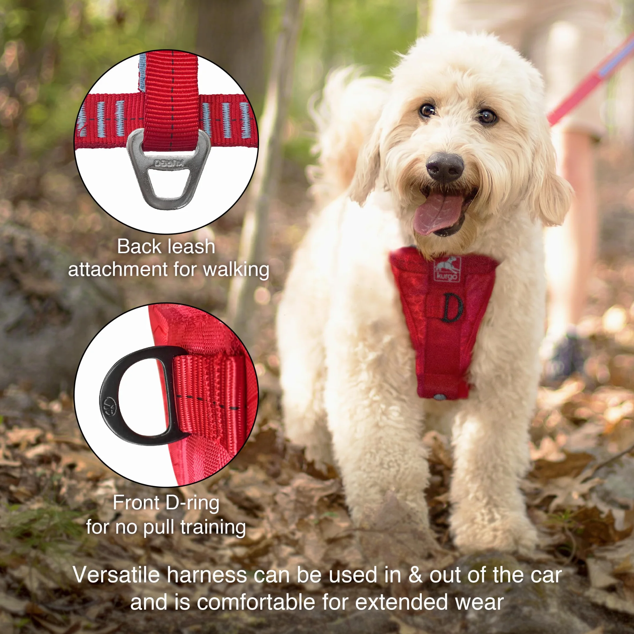 Kurgo Harnais pour Chien Tru-Fit, Accessoire Chien pour la Promenade, Clip Avant pour entraîner Son Chien à ne Pas Tirer & Ceinture de sécurité pour Voiture, Noir, L
